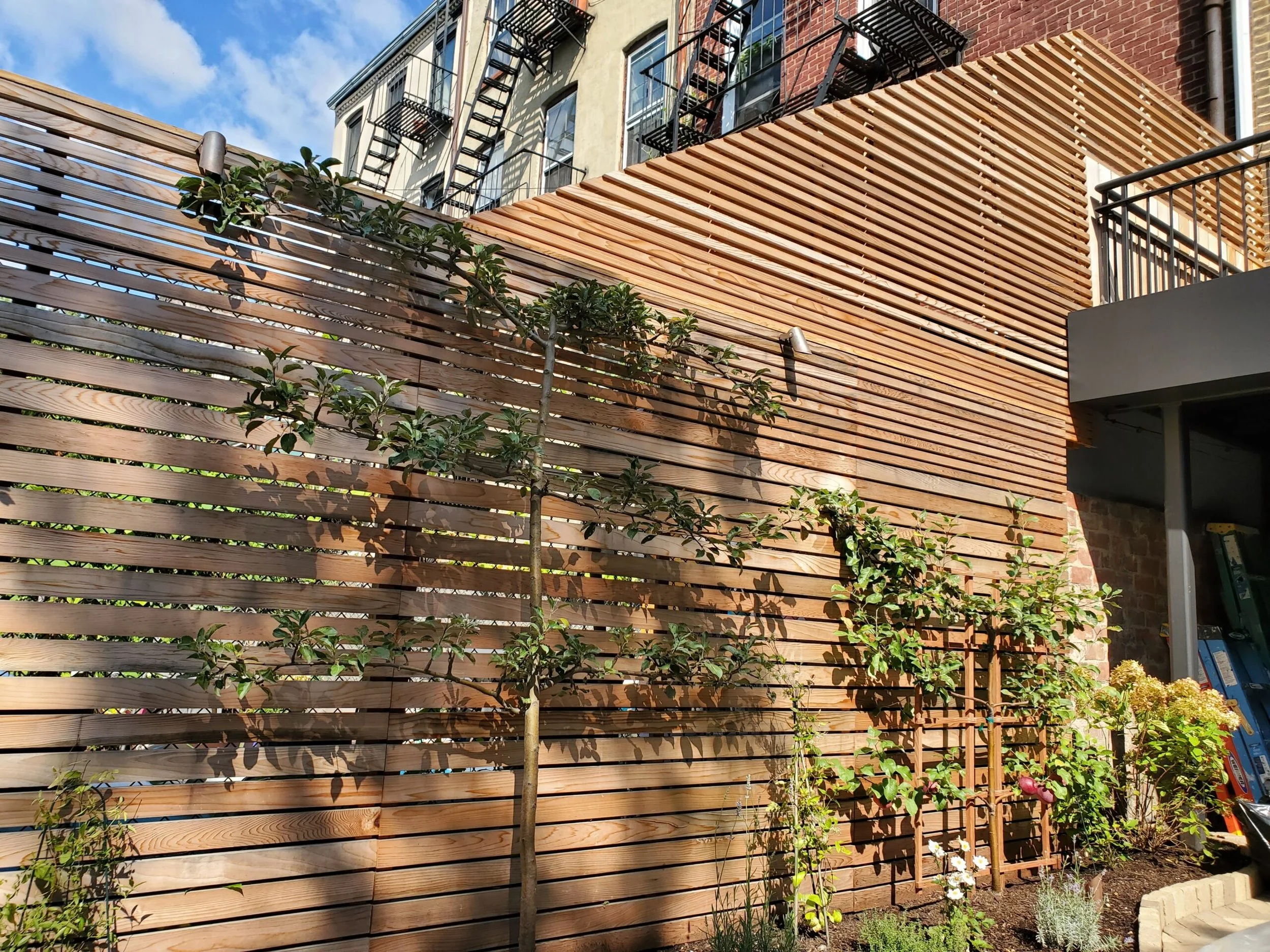 Cedar Fencing scaled.jpg