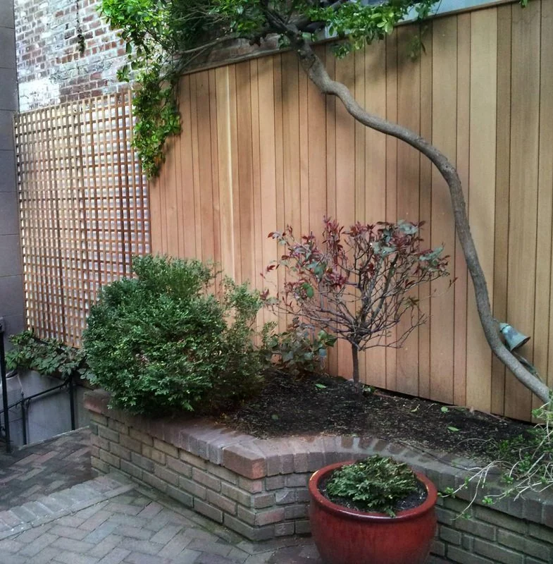 Cedar Fencing & Trellis.jpg