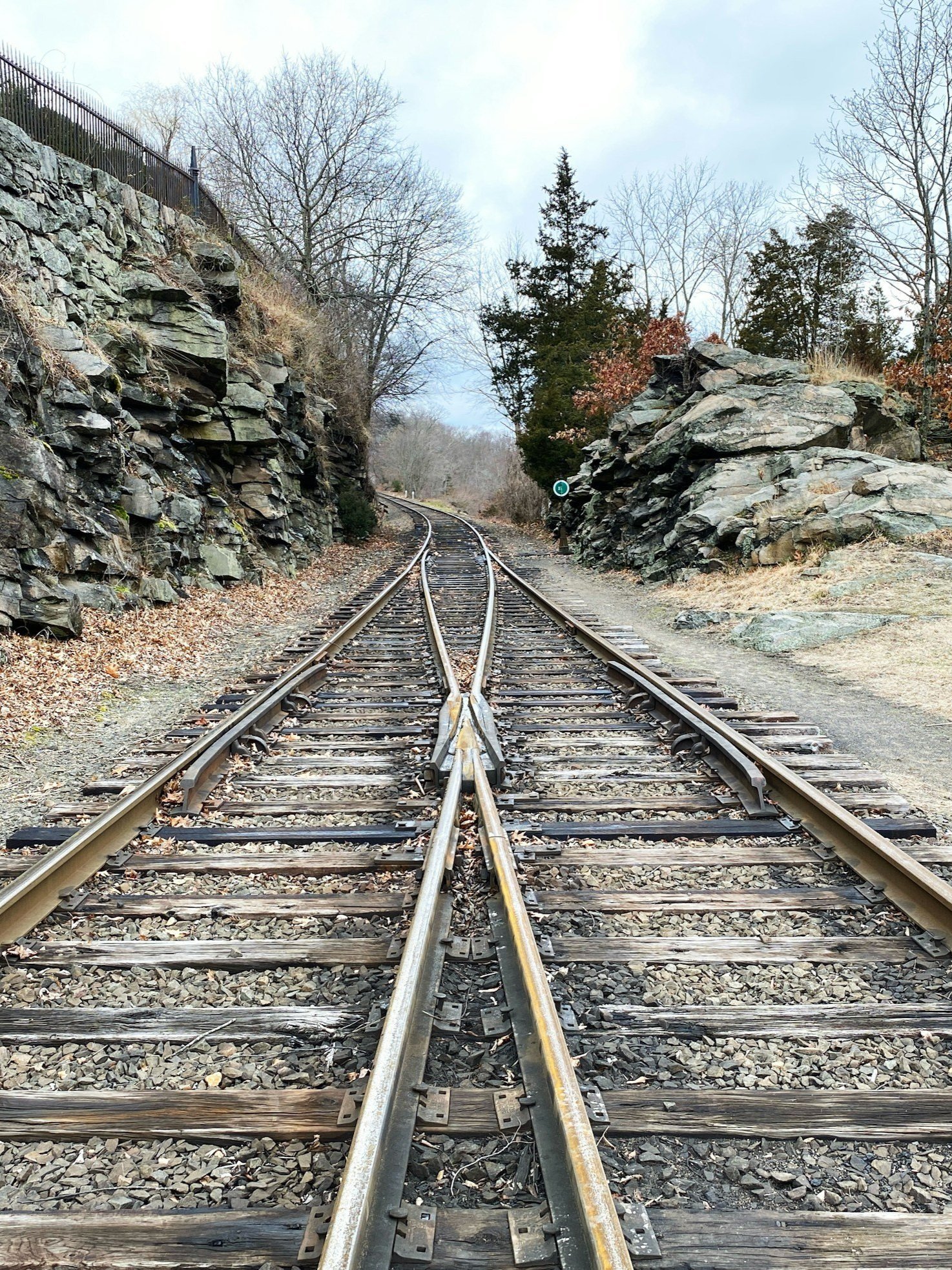 Beyond Empathy: The Hidden Cost of Trauma-Conditioned Sensitivity