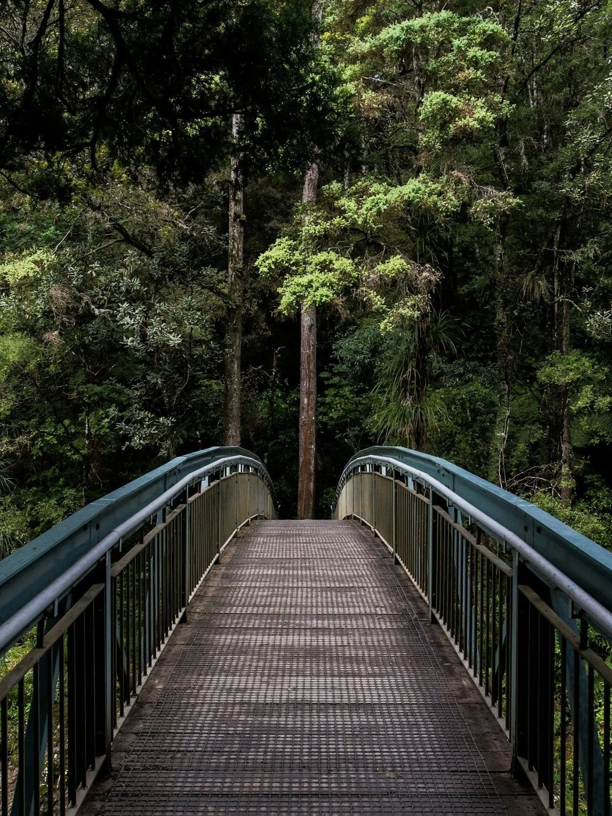 Individuation and Workplace Bullying: Descent and the Heroine’s Journey