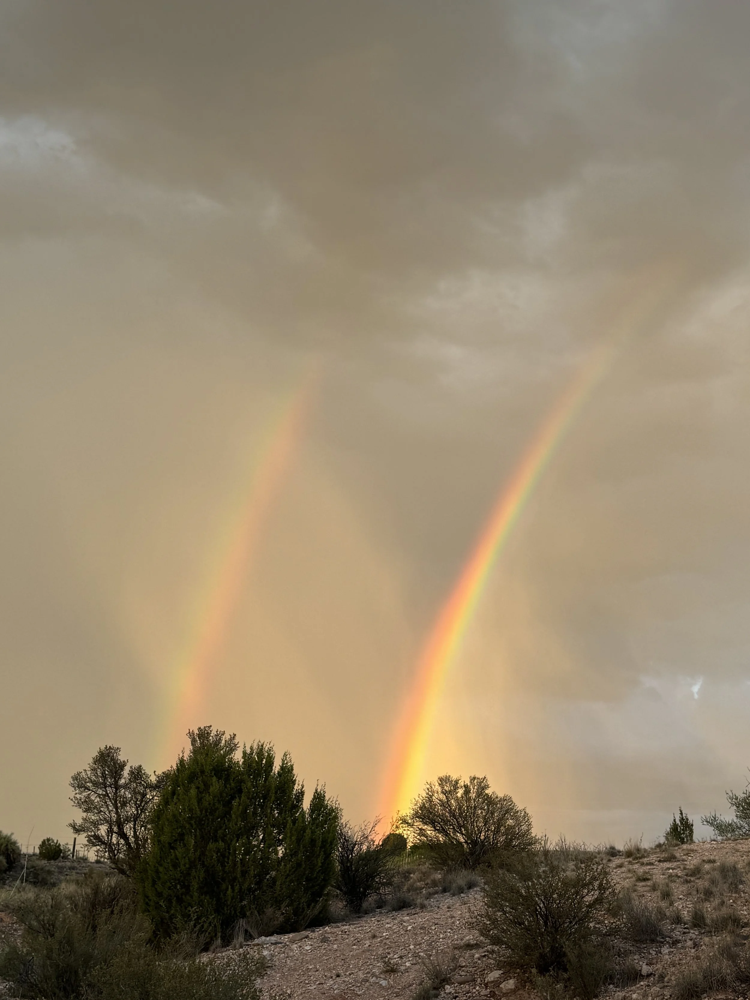 Rainbow sky.jpg