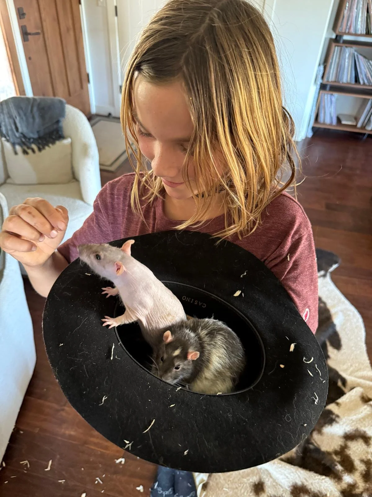 WhatsApp Image 2025-11-16 at 04.03.19 (1).jpeg