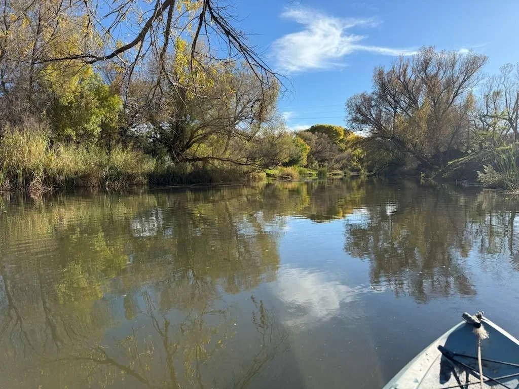 WhatsApp Image 2025-12-03 at 21.09.21.jpeg