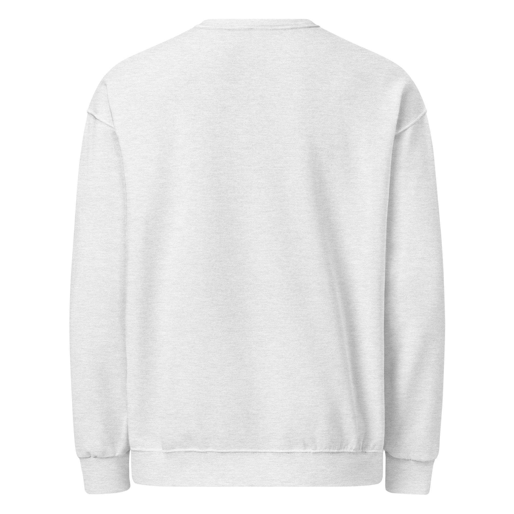 classic-unisex-crew-neck-sweatshirt-ash-back-6944c82276219.jpg