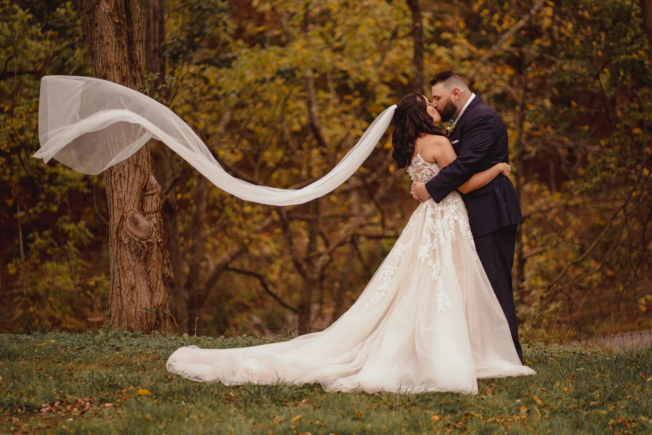 A bride and groom embracing and kissing outdoors during autumn, with the bride's veil flowing to a tree.