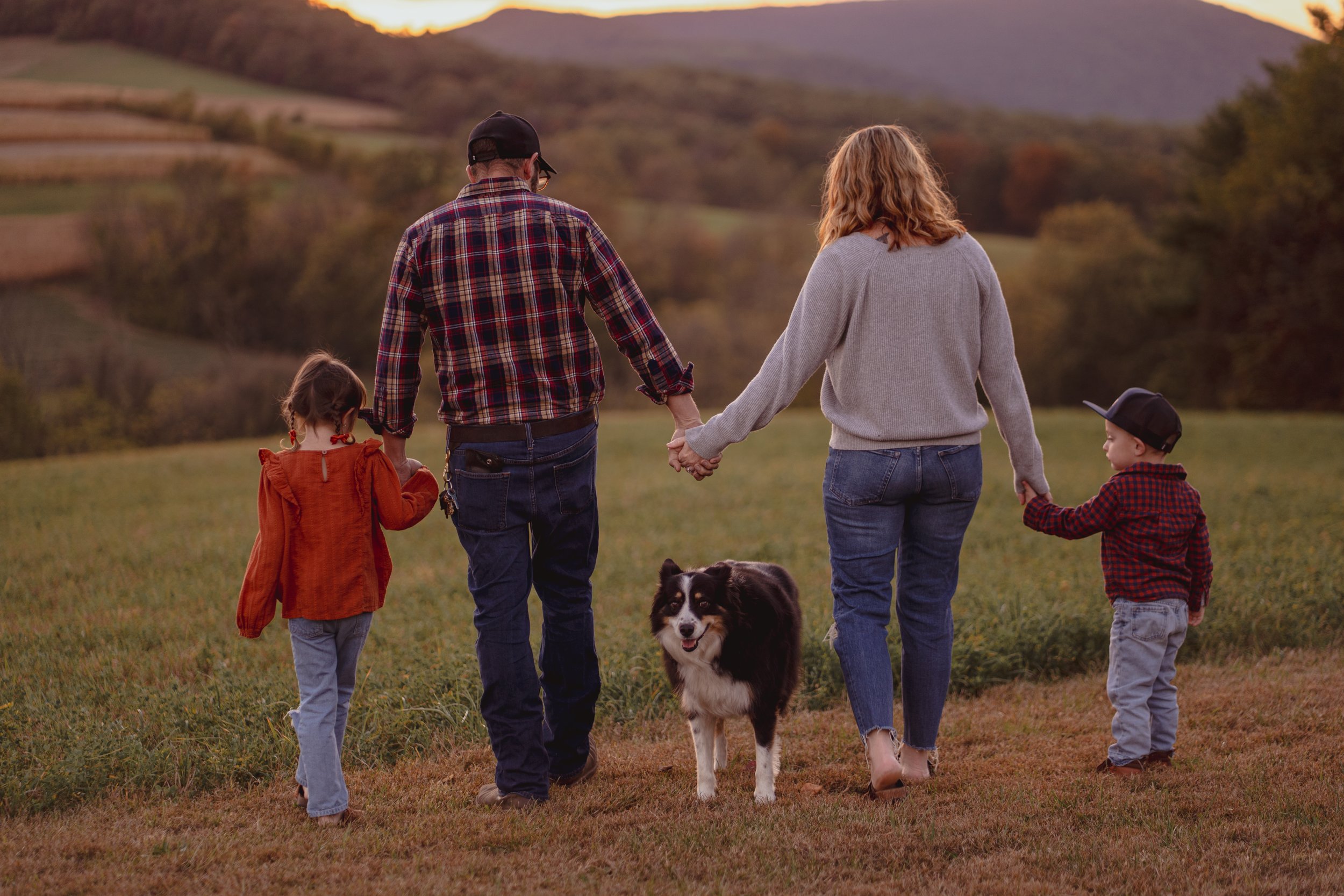 A family of four walking hand-in-hand with their dog outdoors in a field during sunset, with rolling hills in the background.