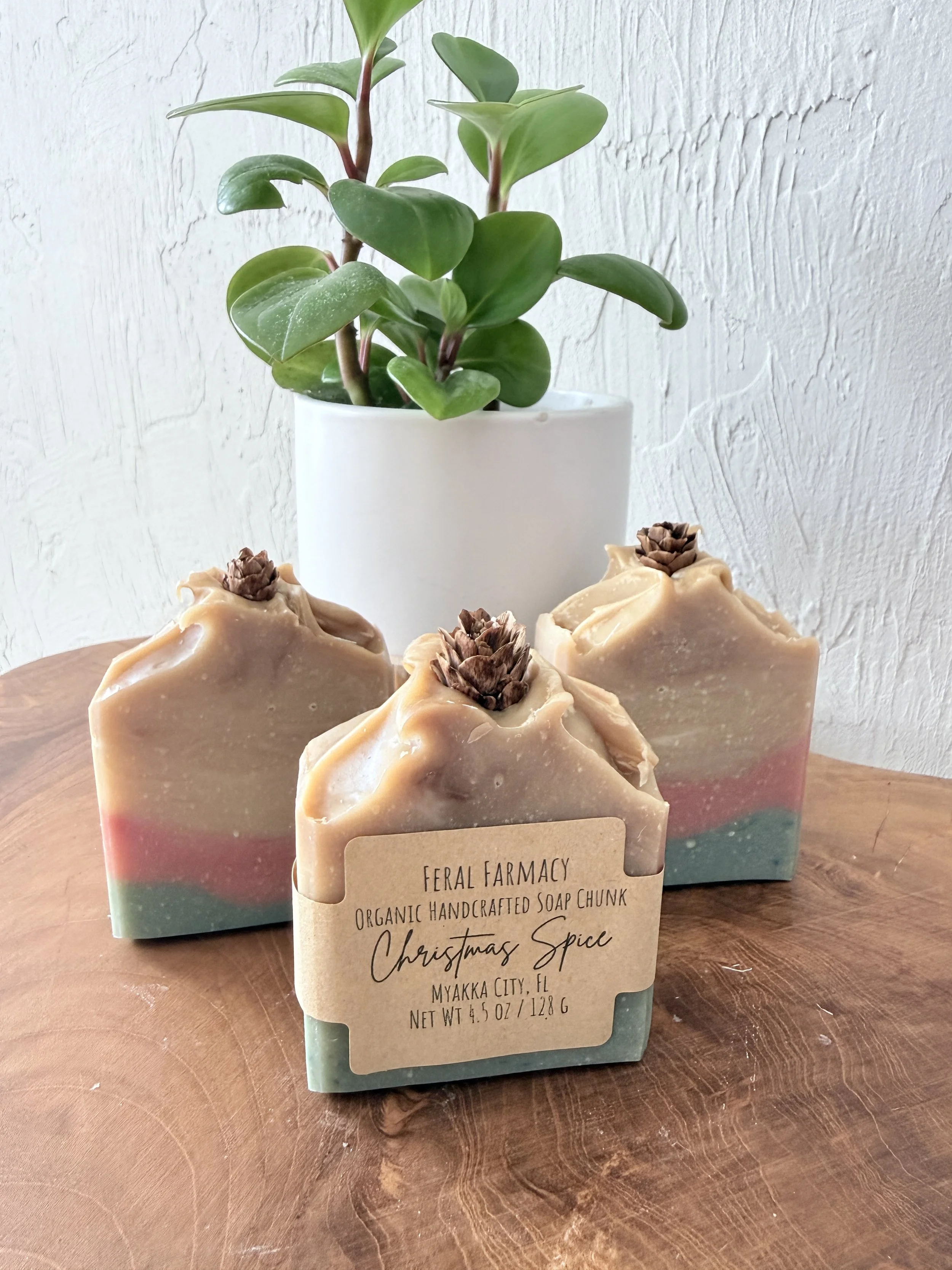 Christmas Spice Soap Chunk