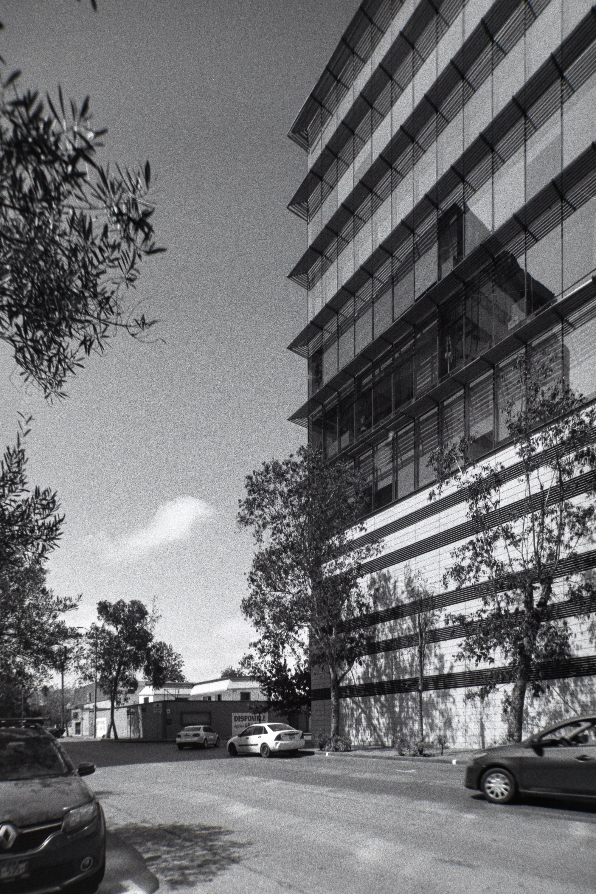 FOMAPAN_200-1.jpg