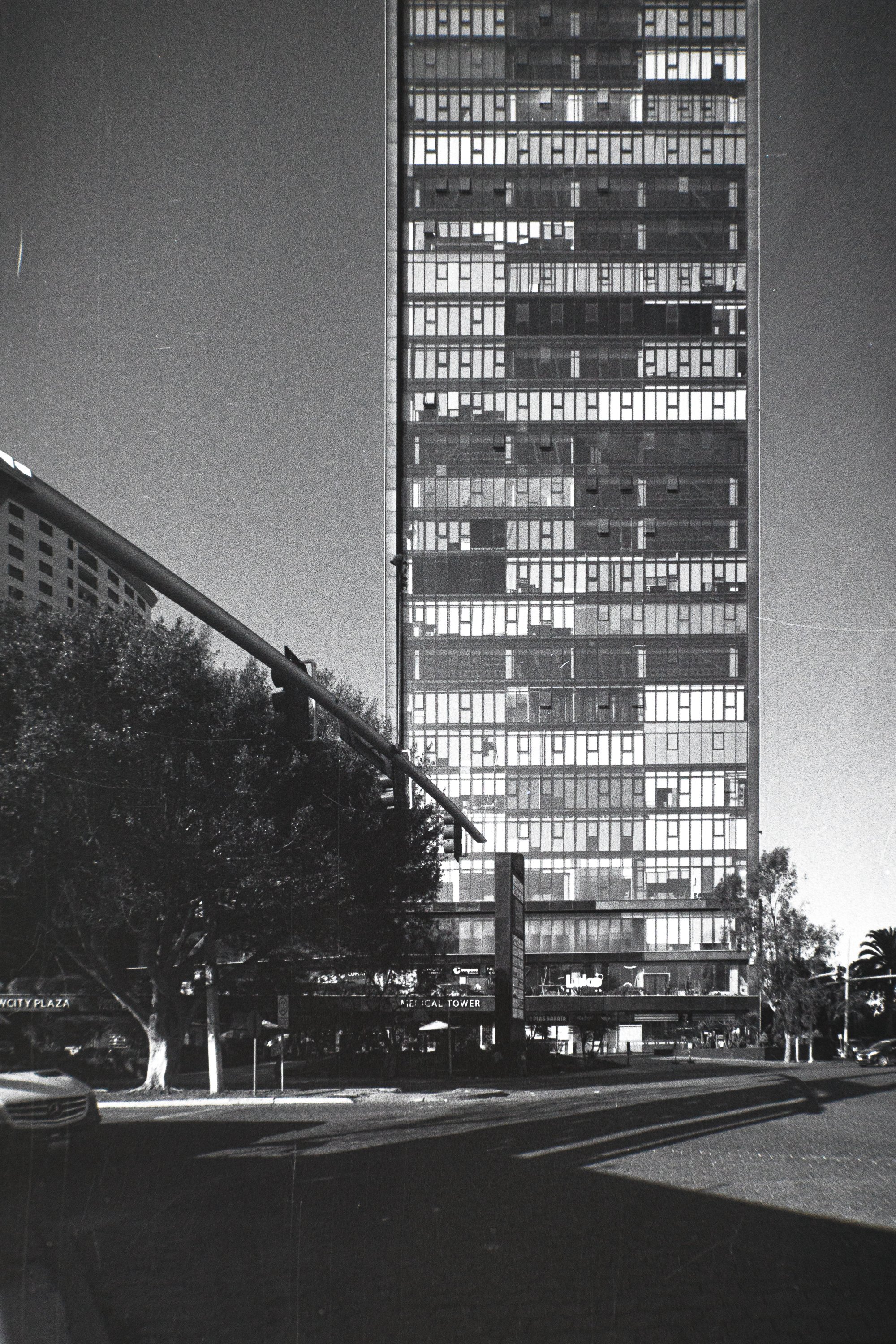 FOMAPAN_200-24.jpg
