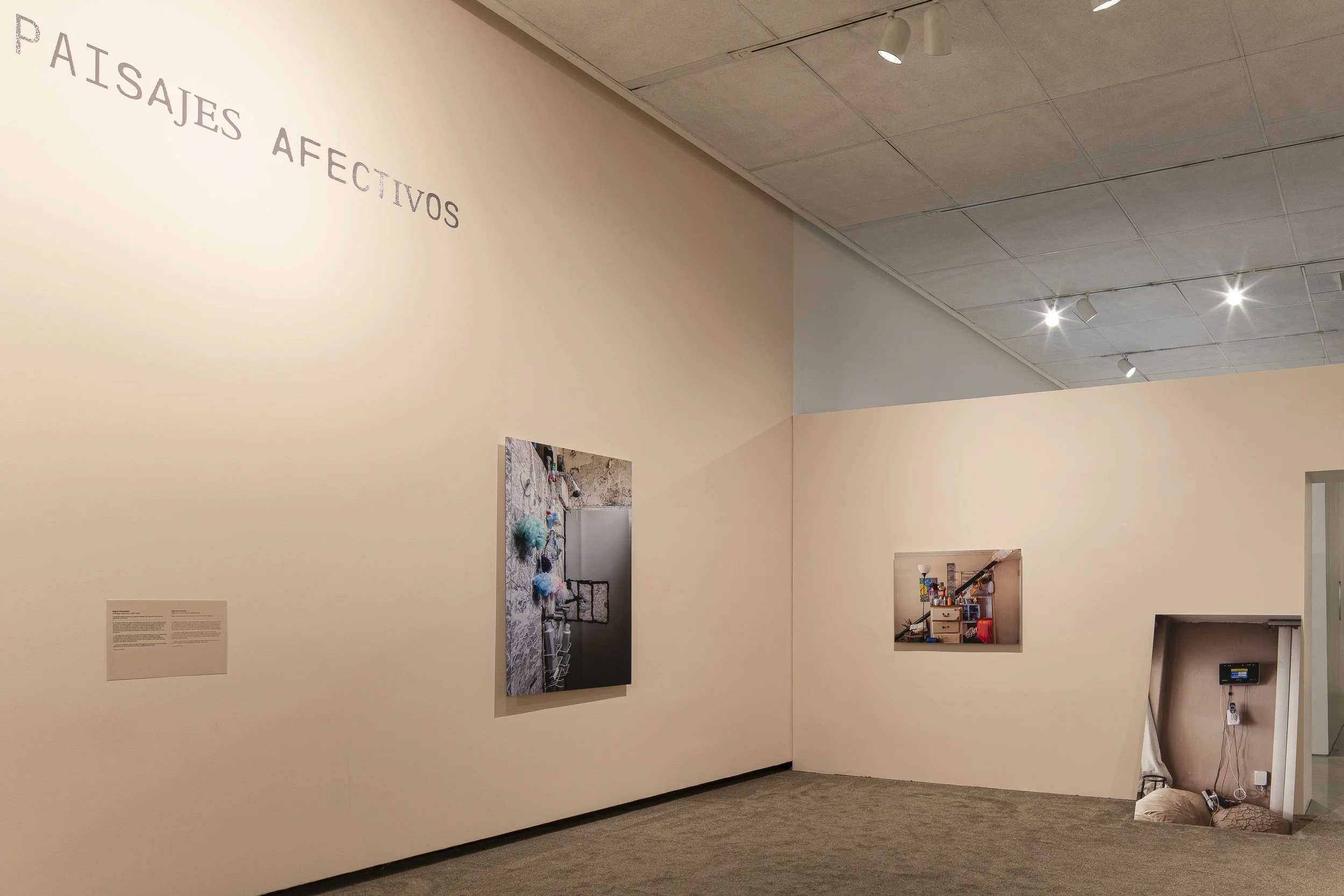 INGRID_HERNANDEZ_UNDER_CONSTRUCTION_MARZO_05_2026 (43 of 48).jpg