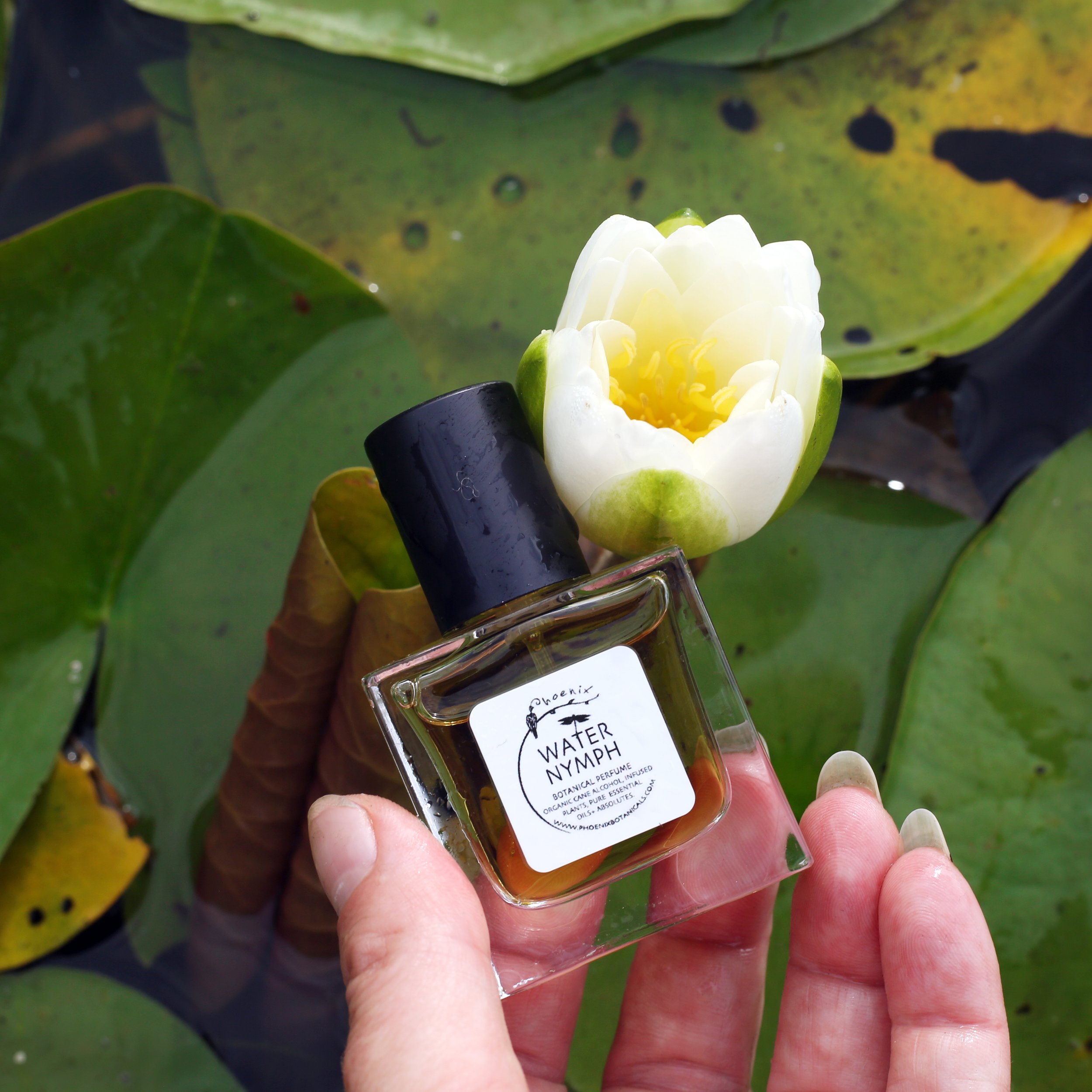 water-nymph-bud-bottle-sq.jpg