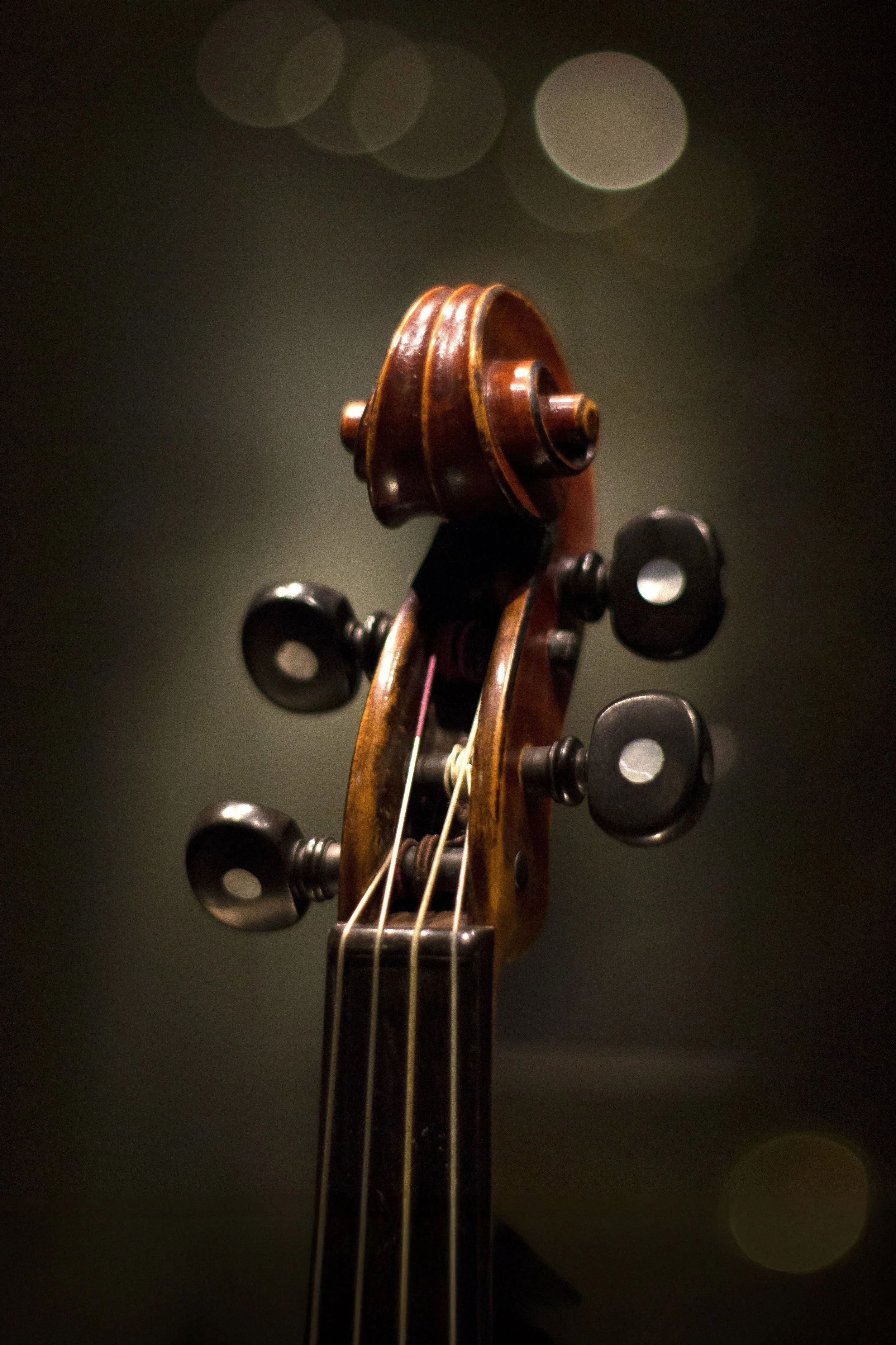 Liminal: A String Duo Concert