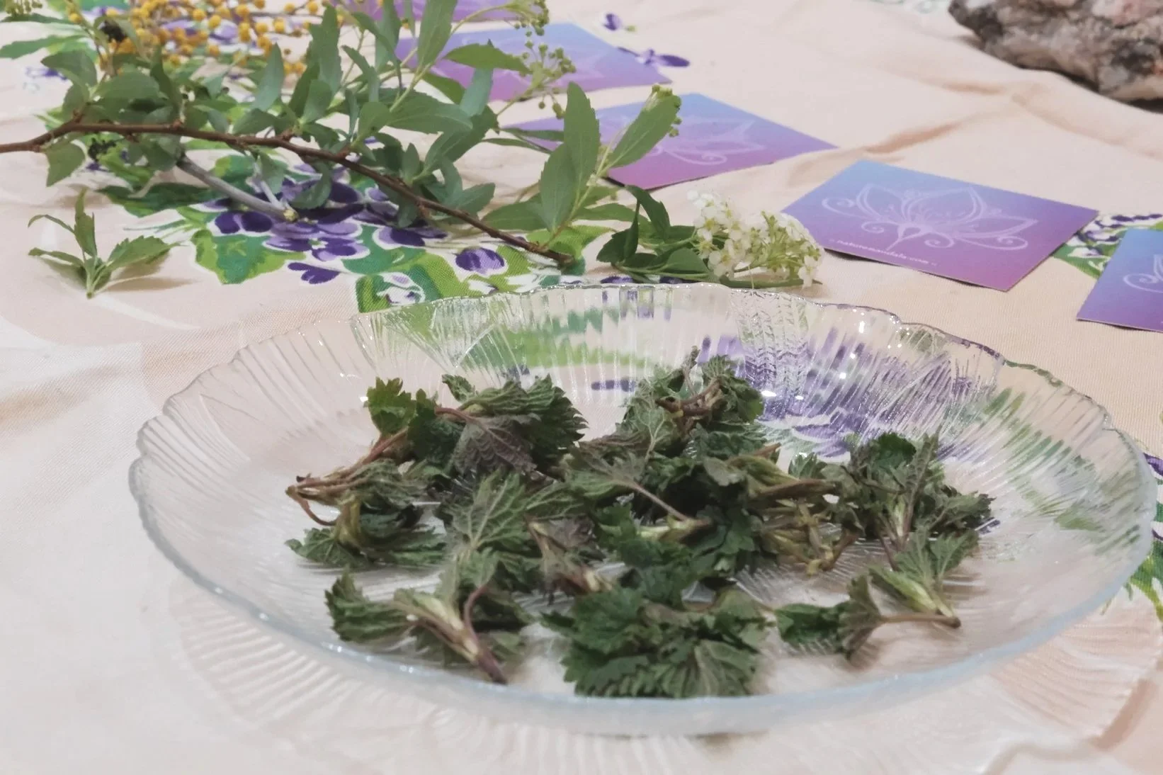 Healing with Herbalism