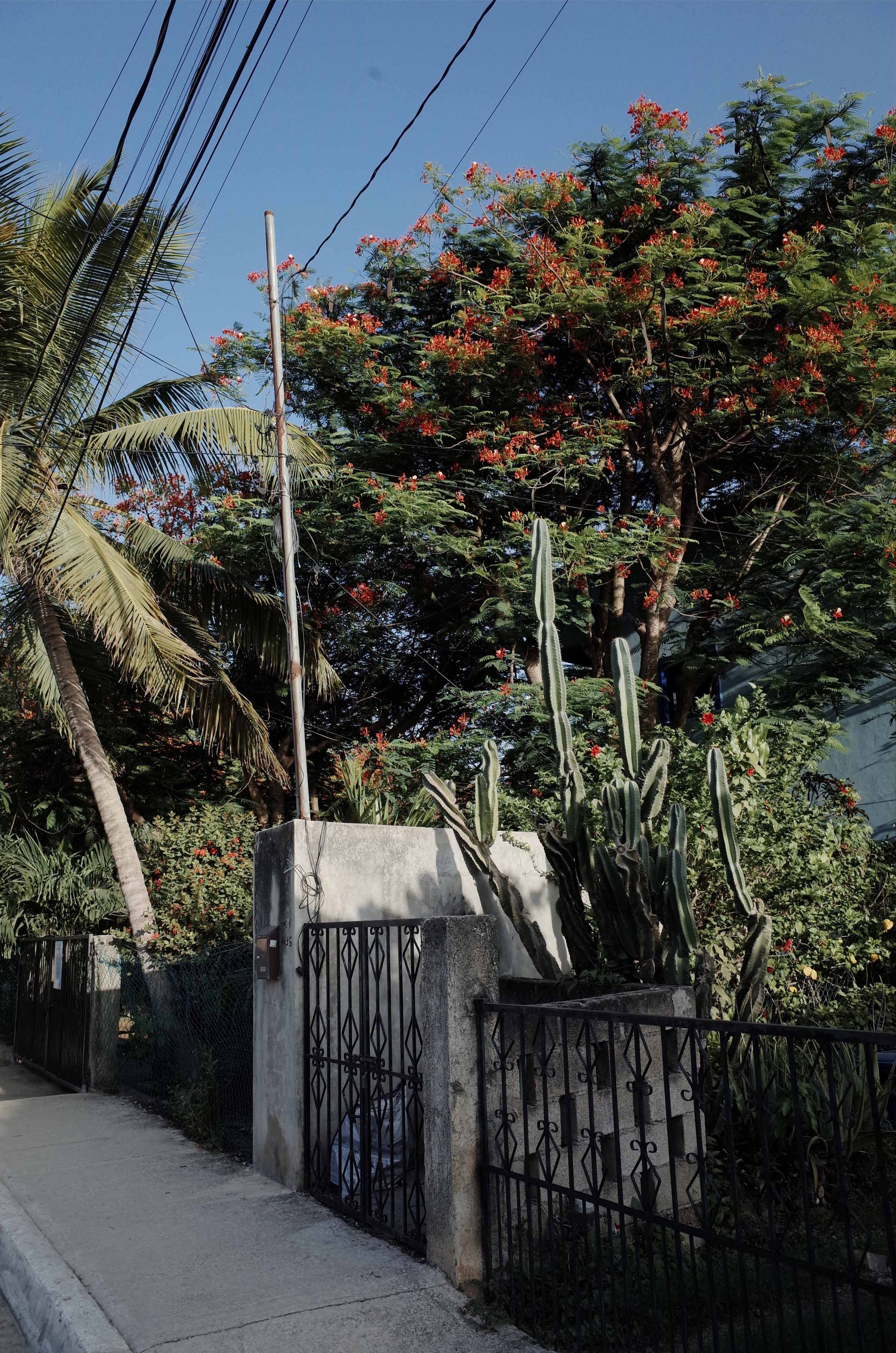 TulumTown-PhotographbyEchoHe.jpg
