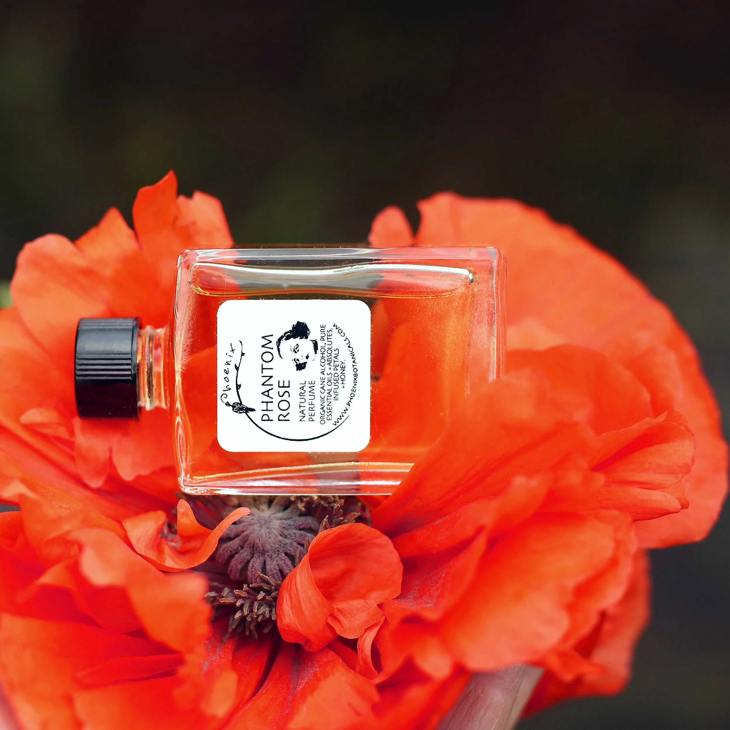 phantom-rose-15ml-poppy-1-cro-sat.jpg