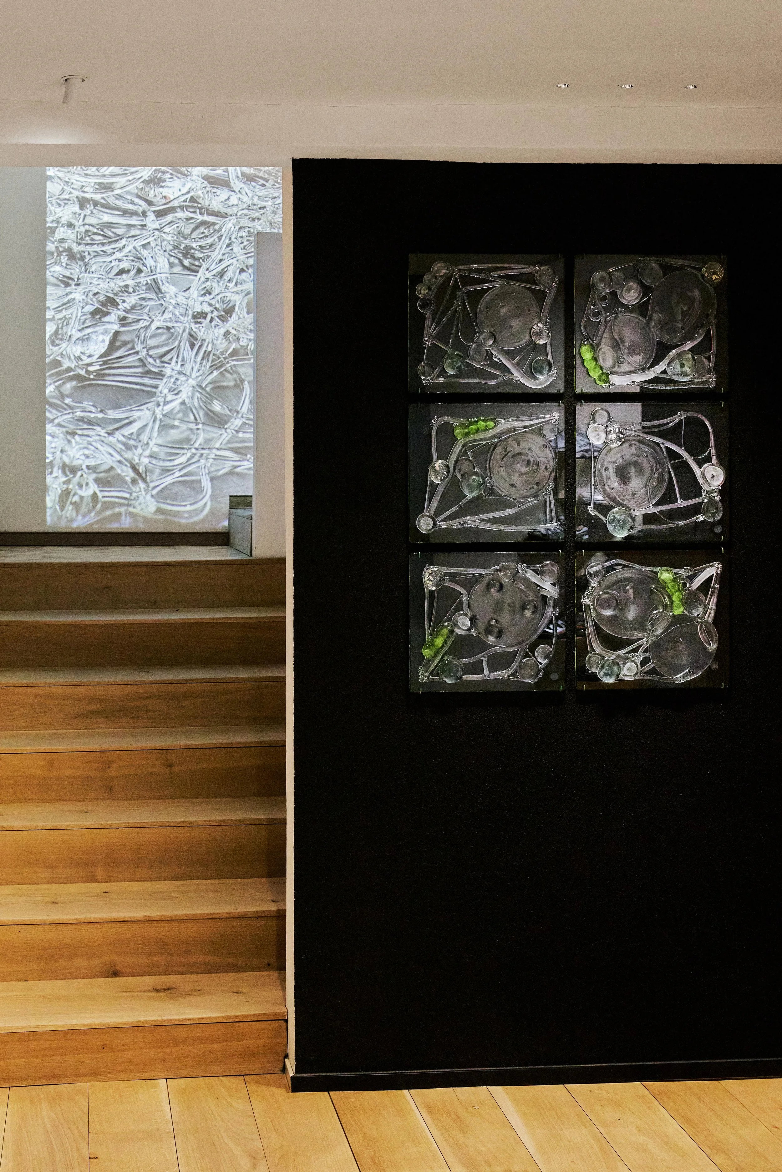 杜蒙 ，《步迹，尚无始终》，2026，玻璃、银箔 ，每件：35 x 40 x 2.5 cm ，共6件_2.jpg