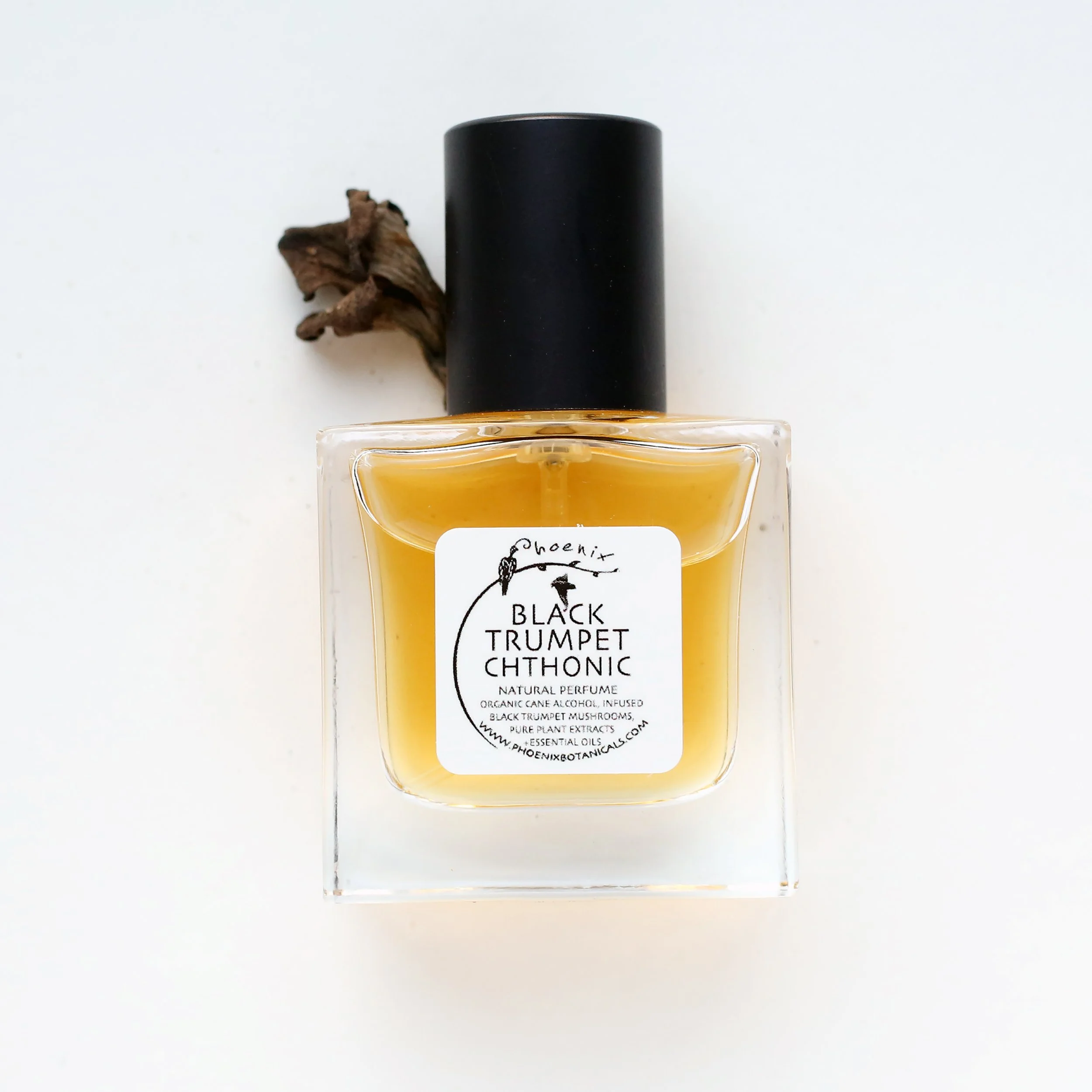 Black Trumpet Chthonic by Phoenix Botanicals