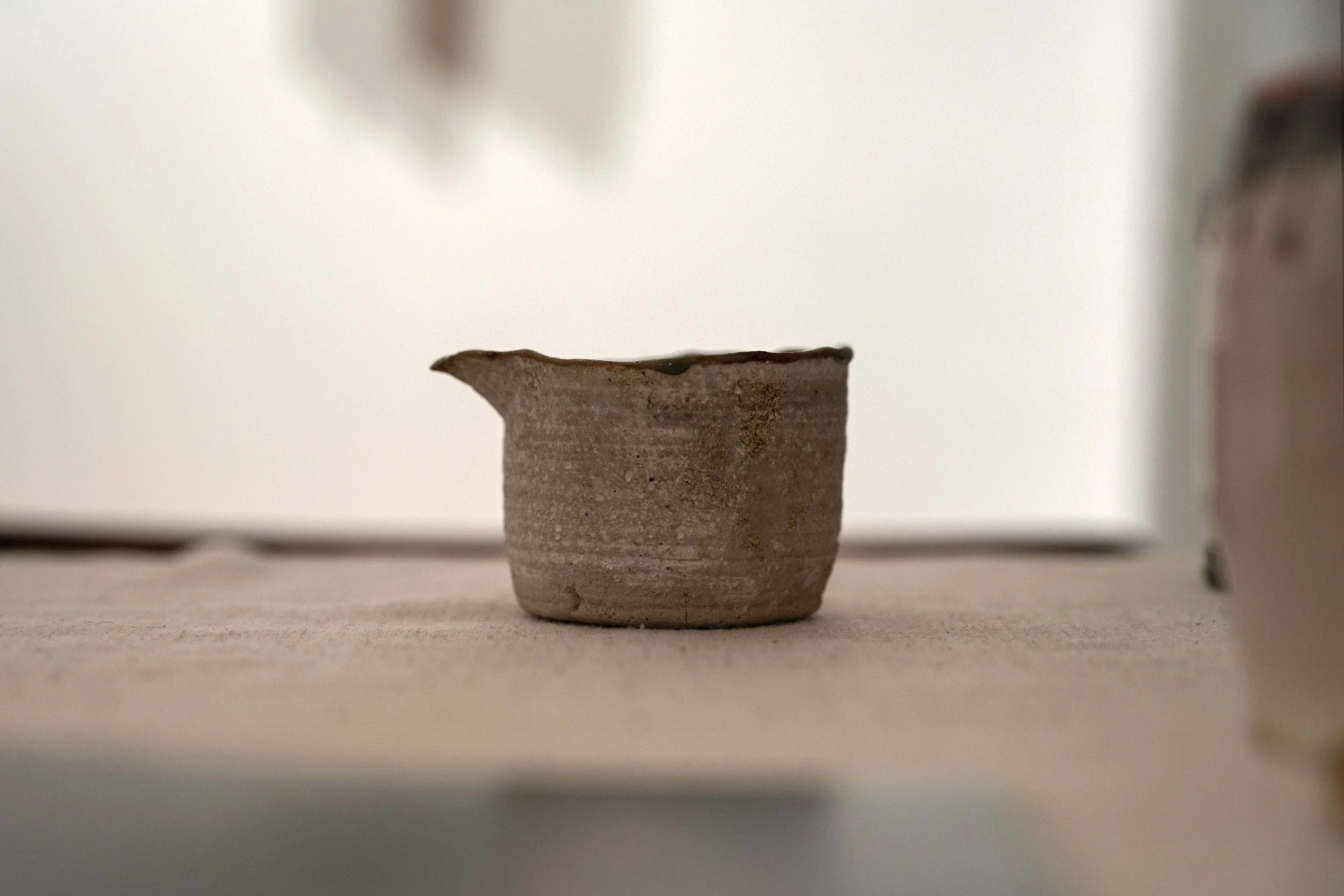 Brown Pitcher by Lu Zhang