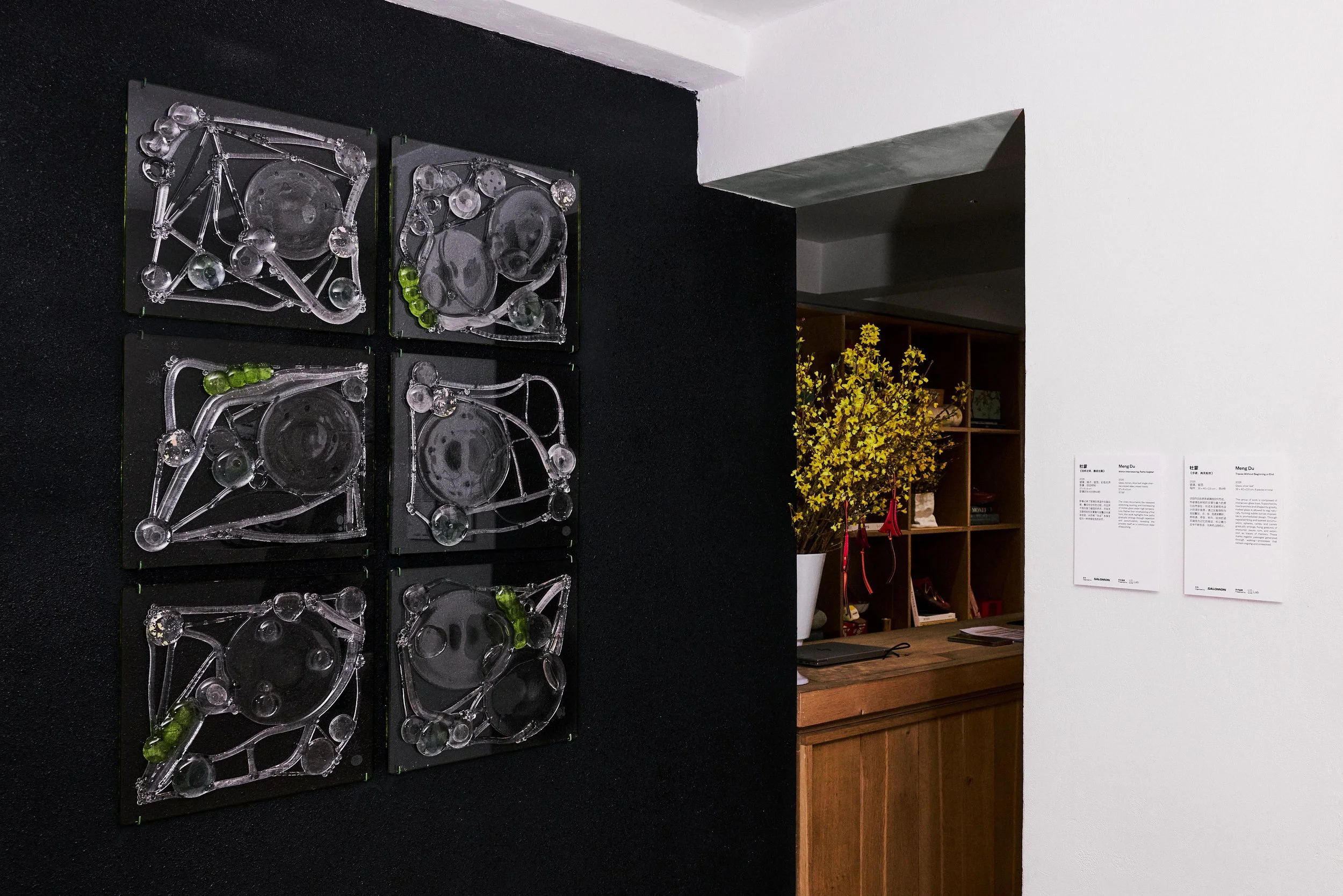 杜蒙 ，《步迹，尚无始终》，2026，玻璃、银箔 ，每件：35 x 40 x 2.5 cm ，共6件_3.jpg