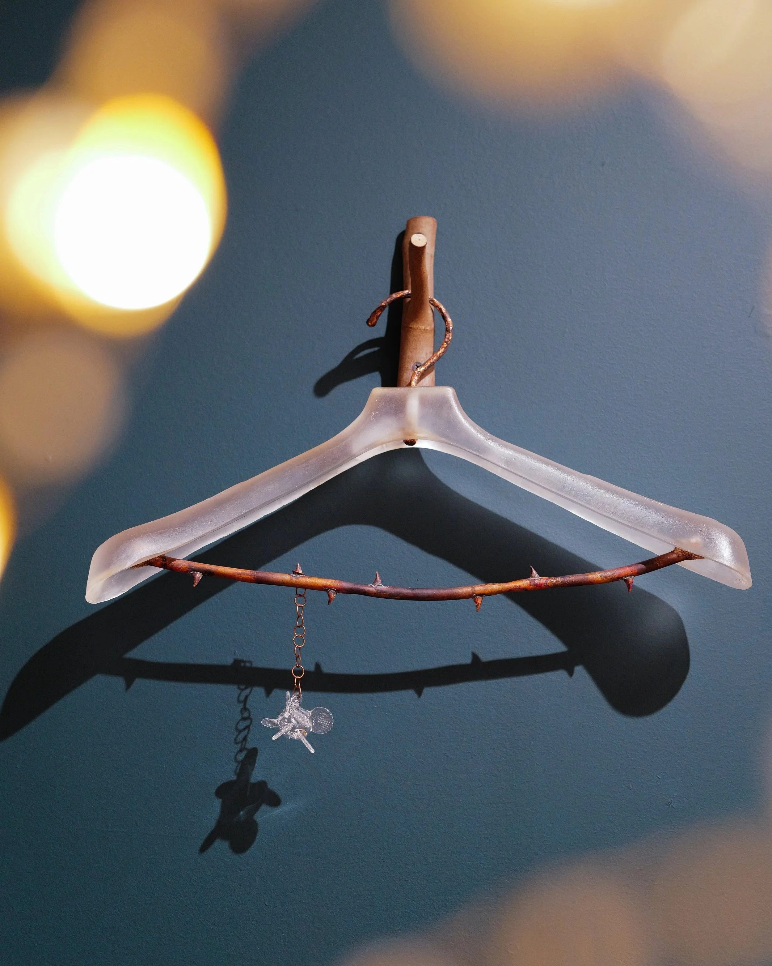 Avian Annotations: Immersive Concert