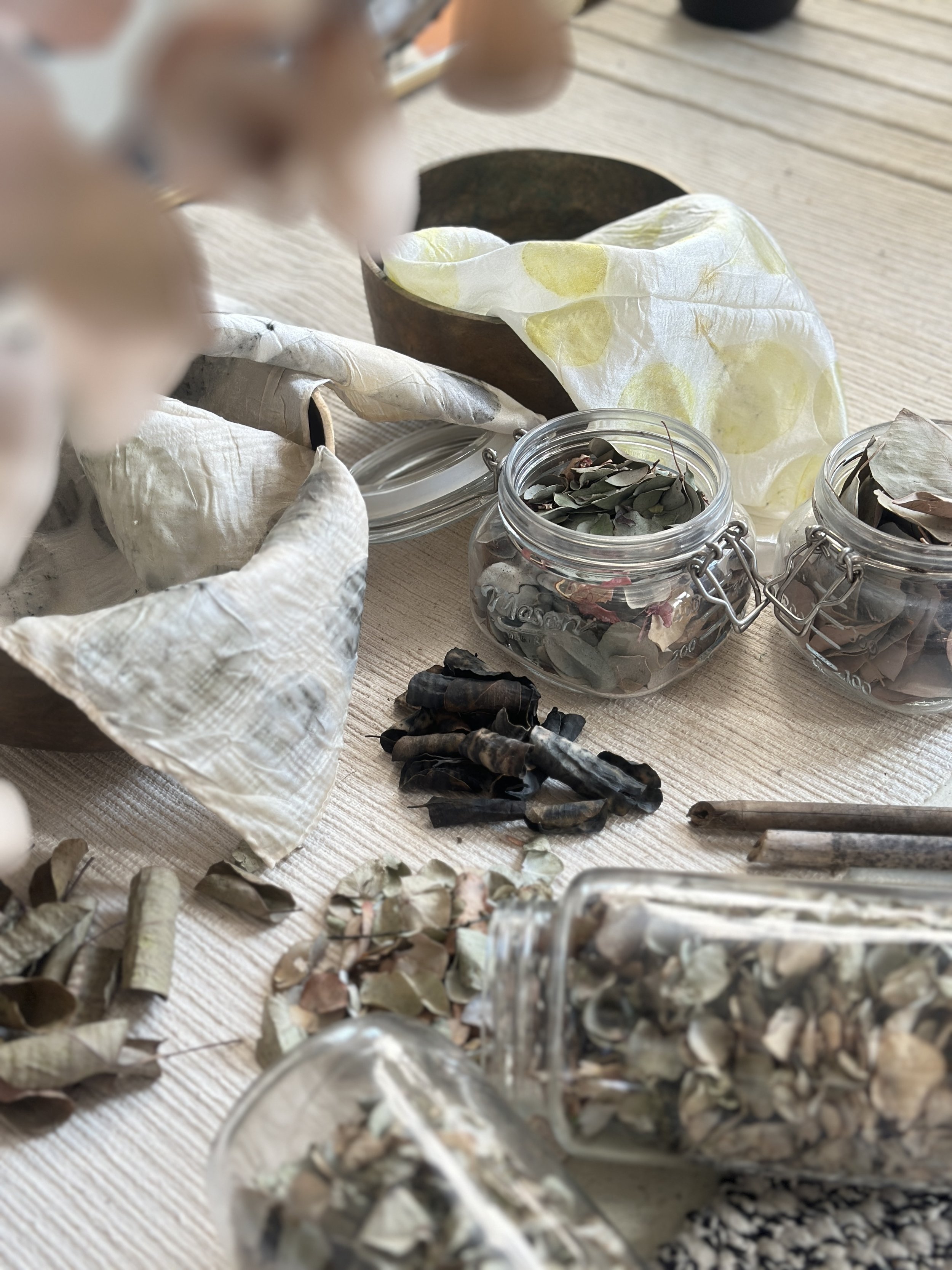 CarolineGuilbertStudio_Eucalytus WorkshopIMG_3820.jpg