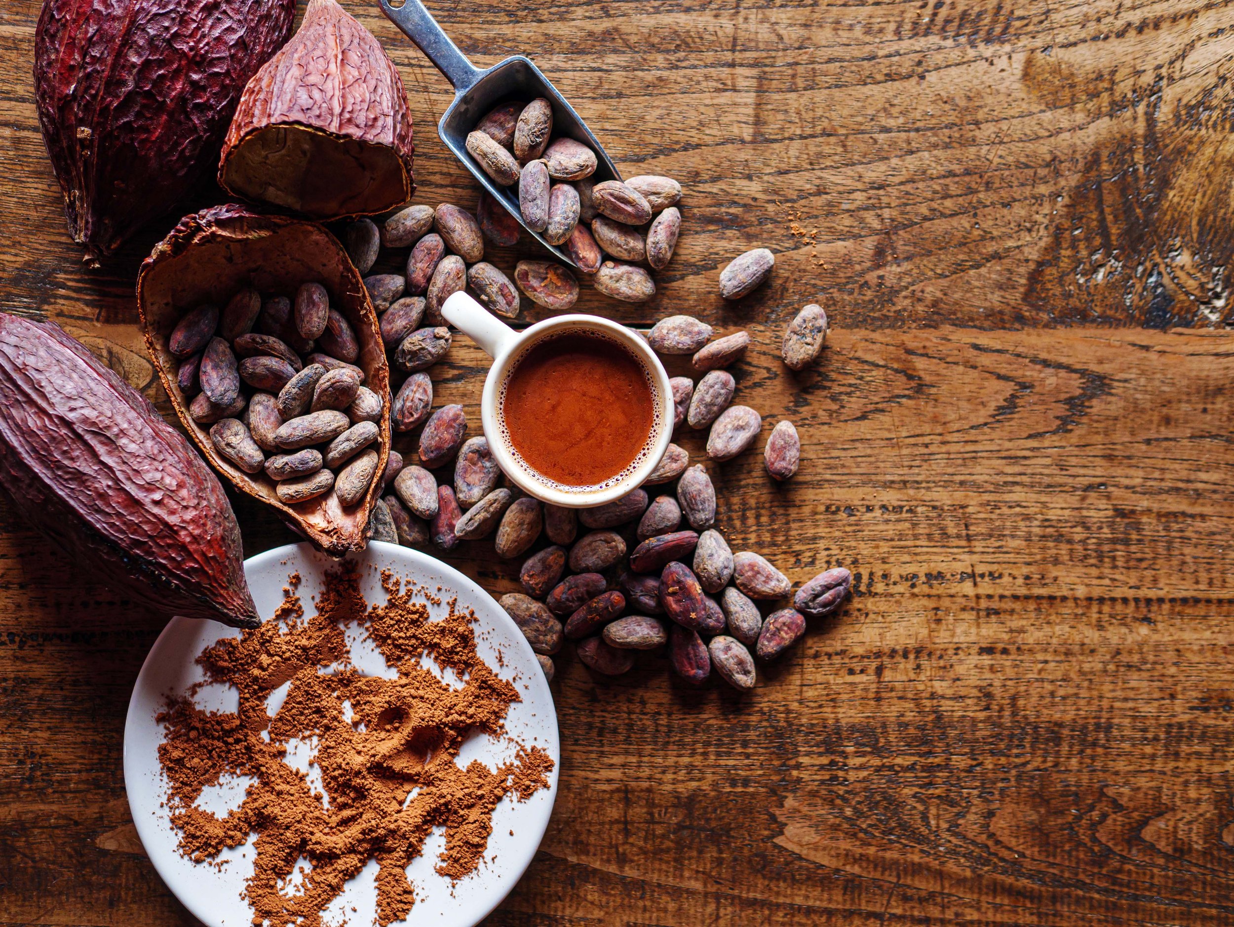 vecteezy_top-view-of-hot-chocolate-drink-cocoa-drink-and-natural_48924917.jpg