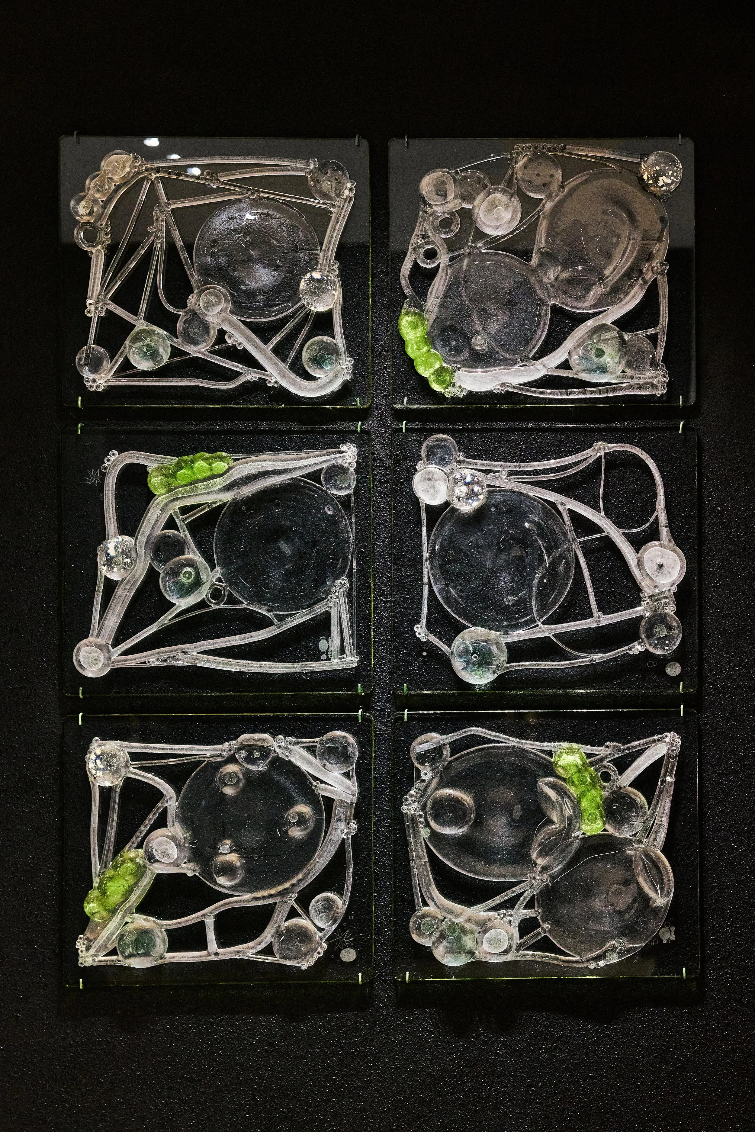 杜蒙 ，《步迹，尚无始终》，2026，玻璃、银箔 ，每件：35 x 40 x 2.5 cm ，共6件_5.jpg