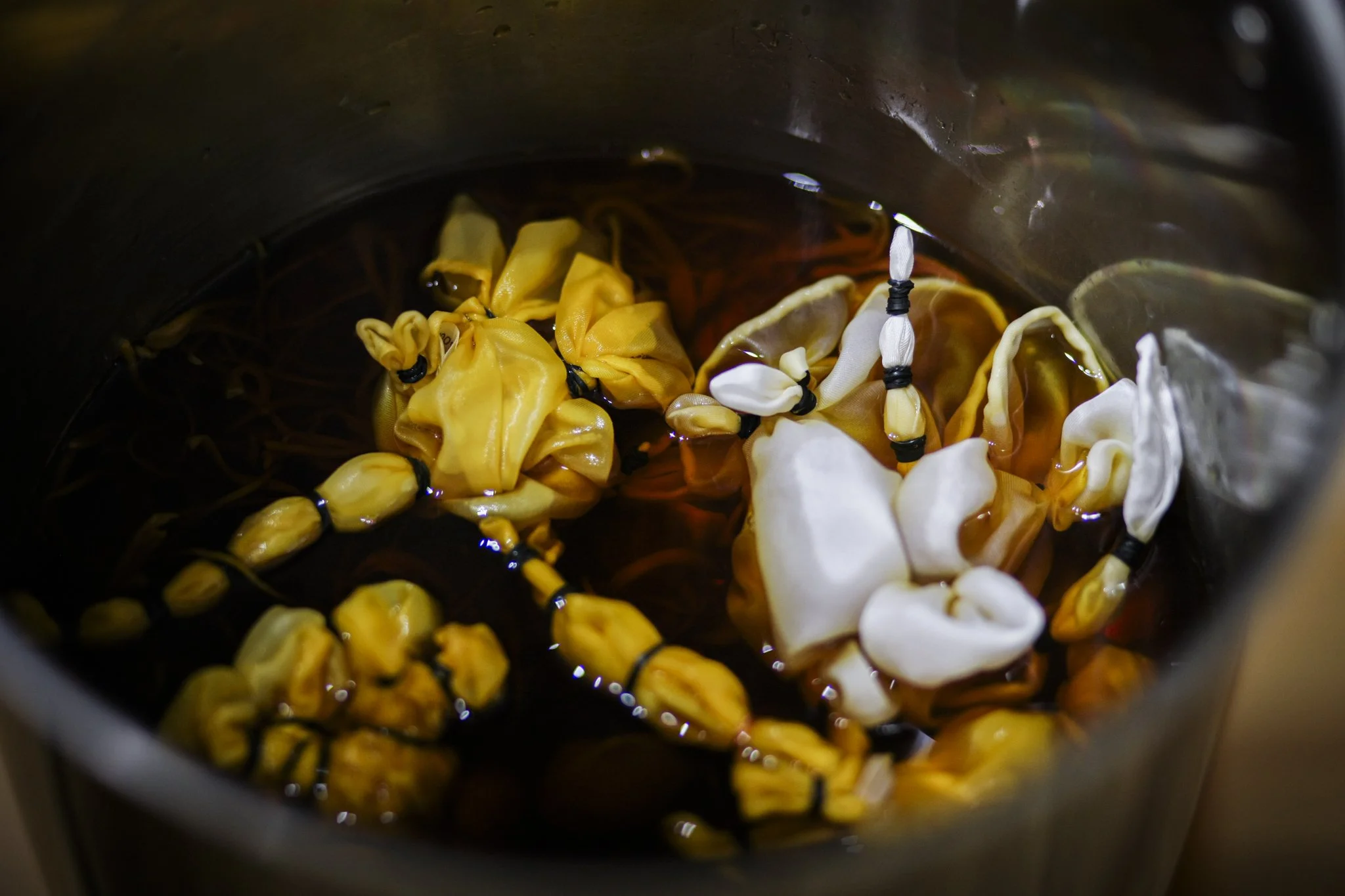 20241121_MushroomTeaandDyeing_photobyBetterHao_v14.jpg