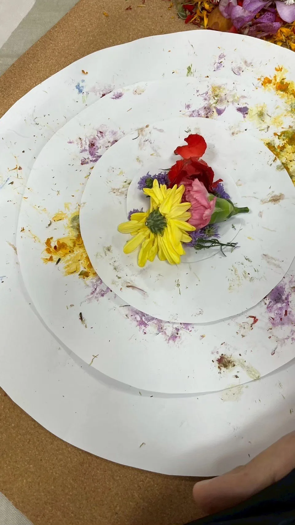 LINE_ALBUM_26.07.25 Flower Mandala (3rd Space)_260519_23.jpg