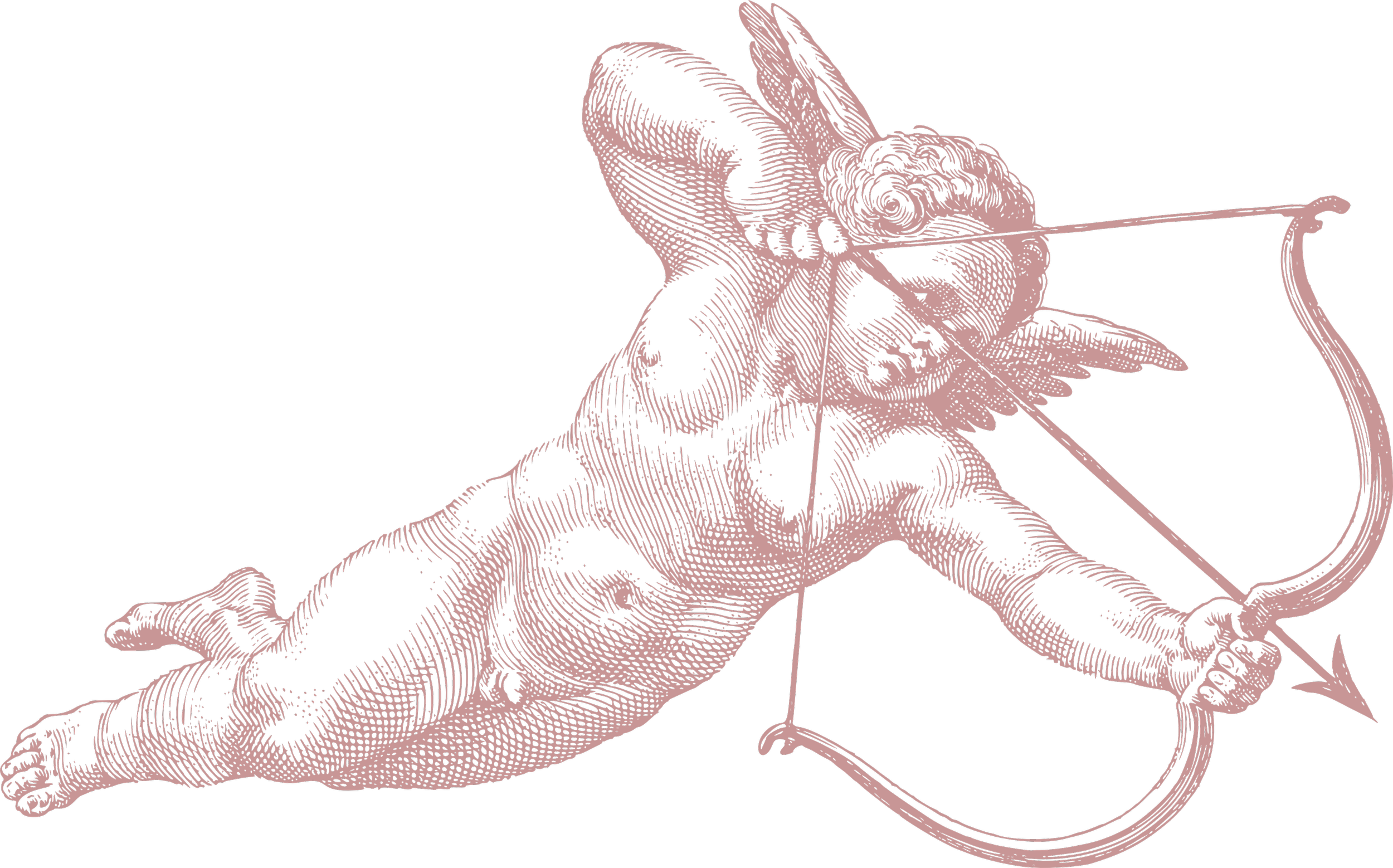 Line art illustration of a cherub holding a bow and arrow.