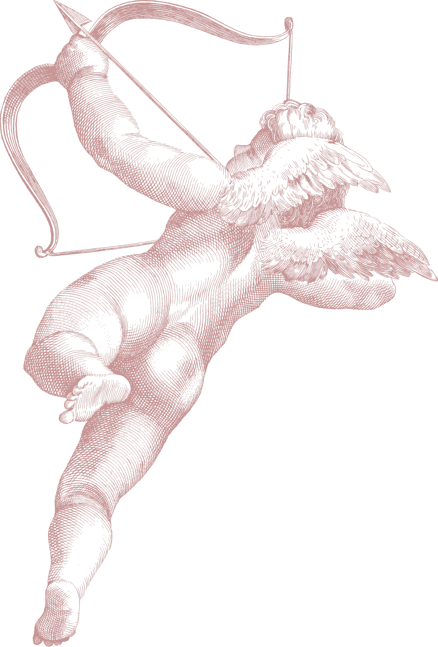An illustration of a hand holding a bow and arrow, with the arrow aimed upward. The drawing features detailed line work in pink against a black background.