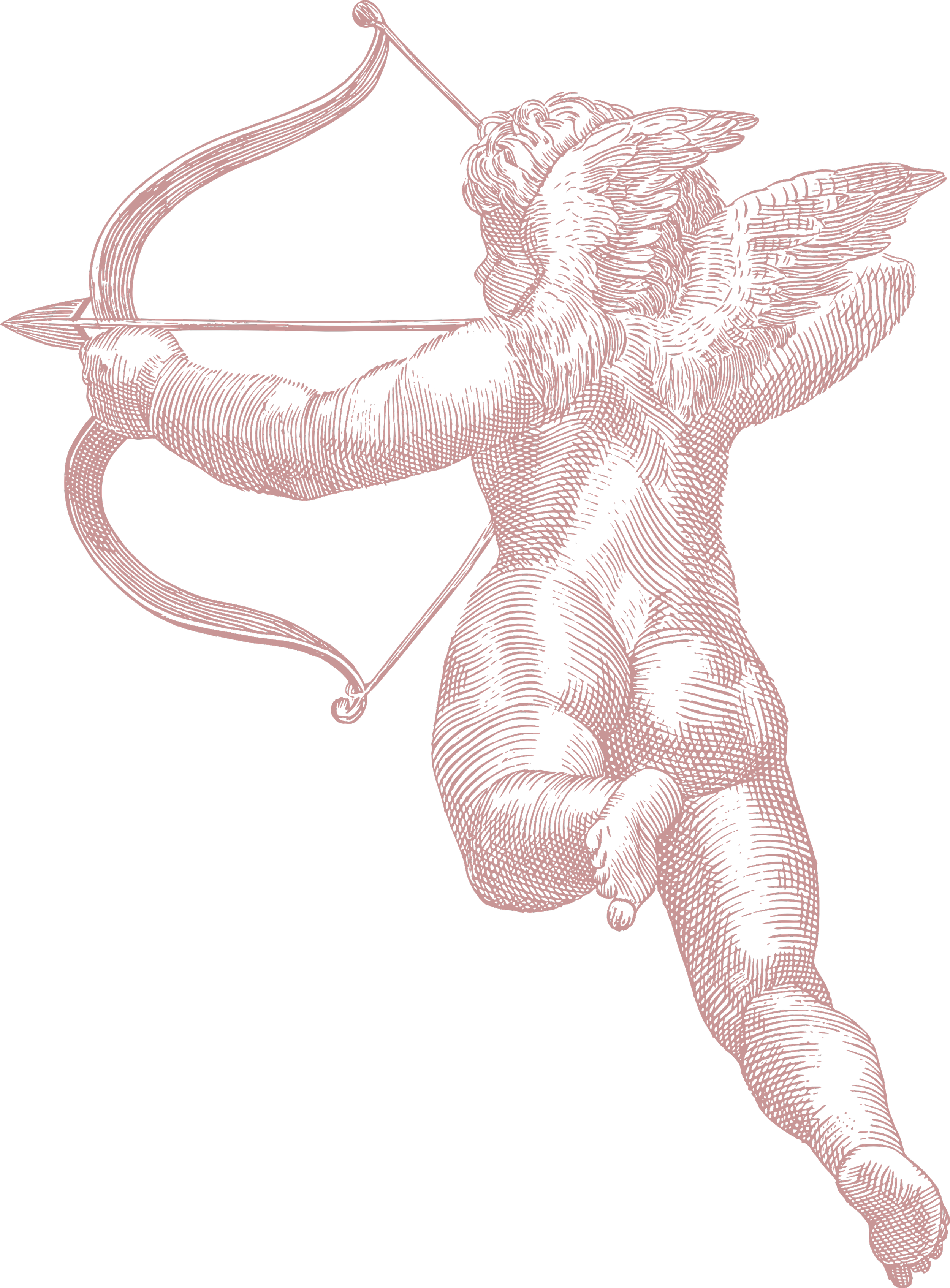 An artistic line drawing of a cherub with wings, holding a bow and arrow, standing on a reflective surface.