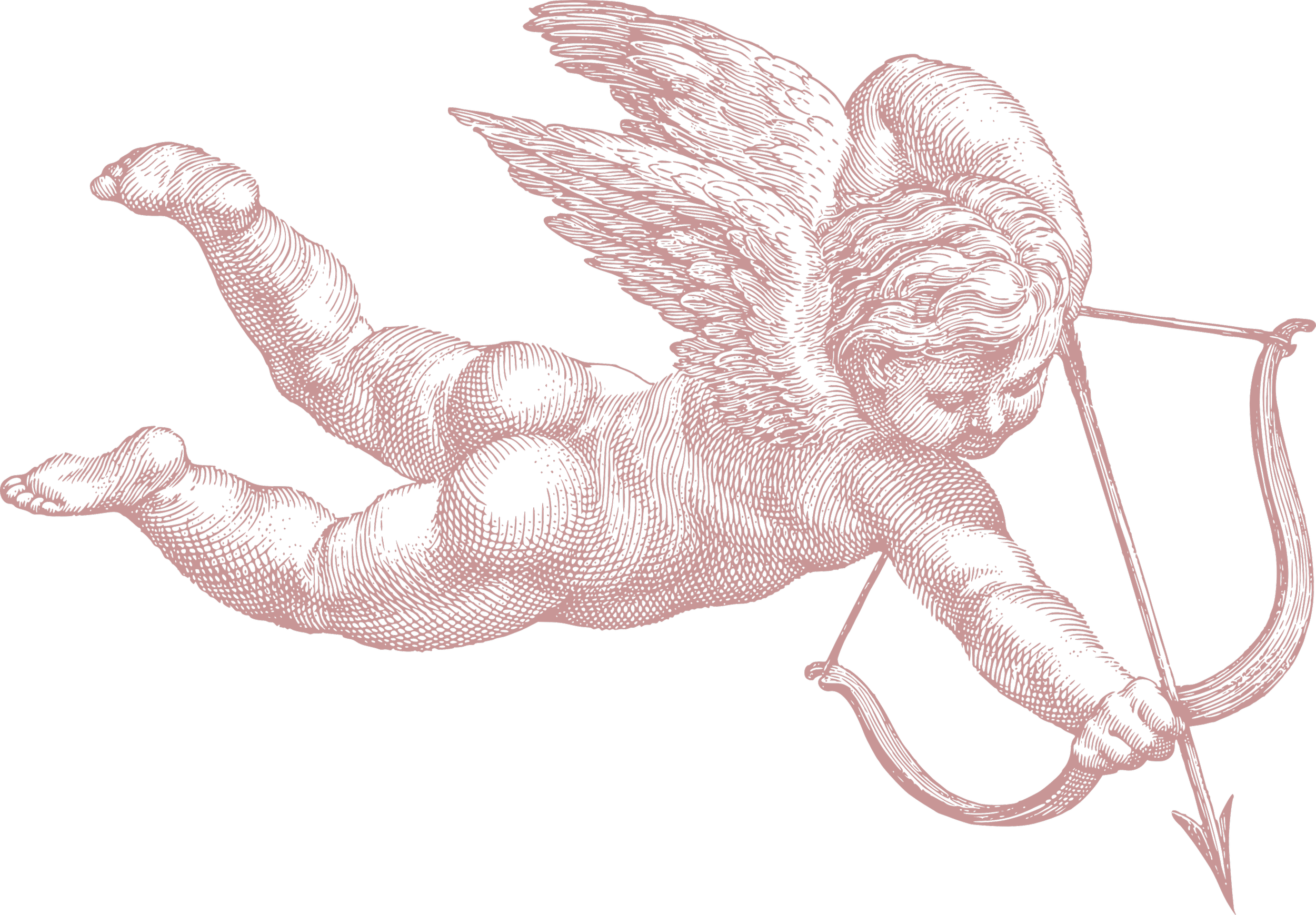 A vintage-style, pink monochrome illustration of a cherub with detailed wings and body.
