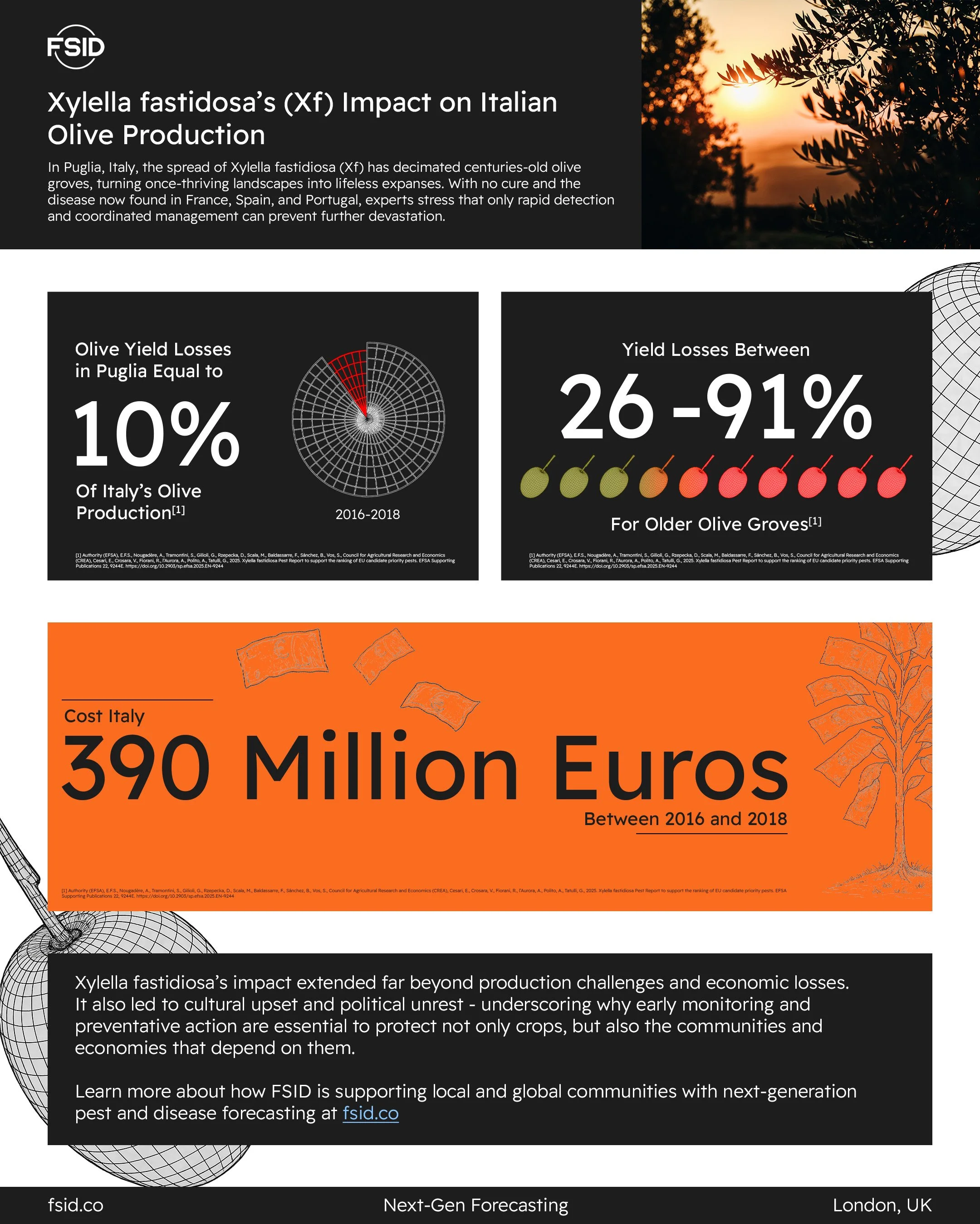 An infographic about the impact of Xylella fastidiosa (Xf) on Italian olive production. It includes data on olive yield losses, economic costs, and the importance of early monitoring and preventive action, with a scenic sunset in the background.