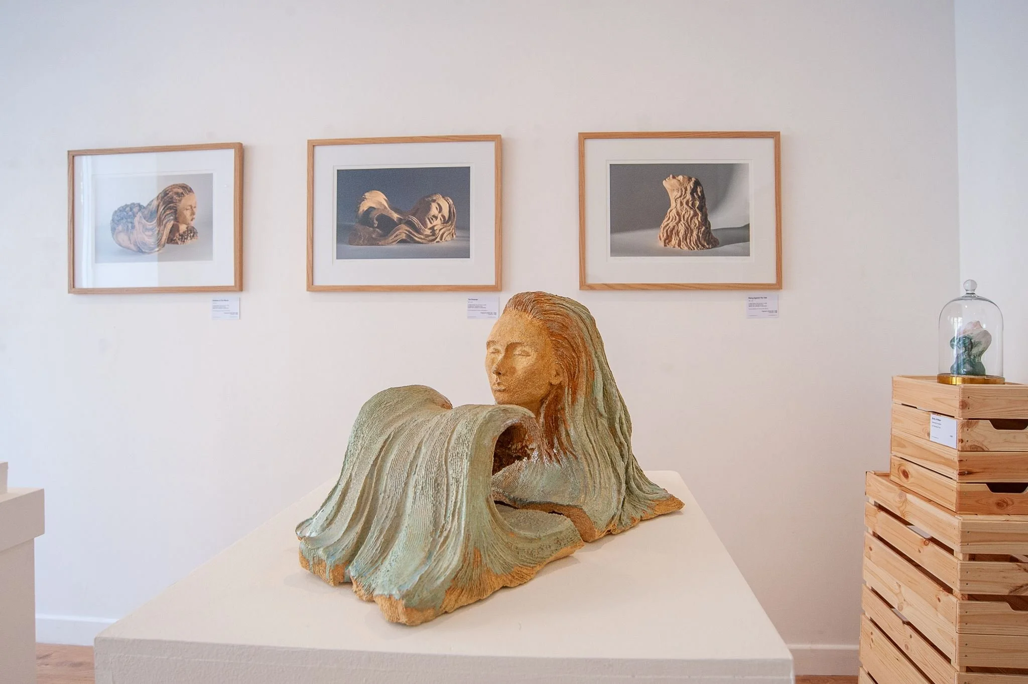 Francesca Flynn _An Ocean of Dreams_ at Saltspace-9.jpg