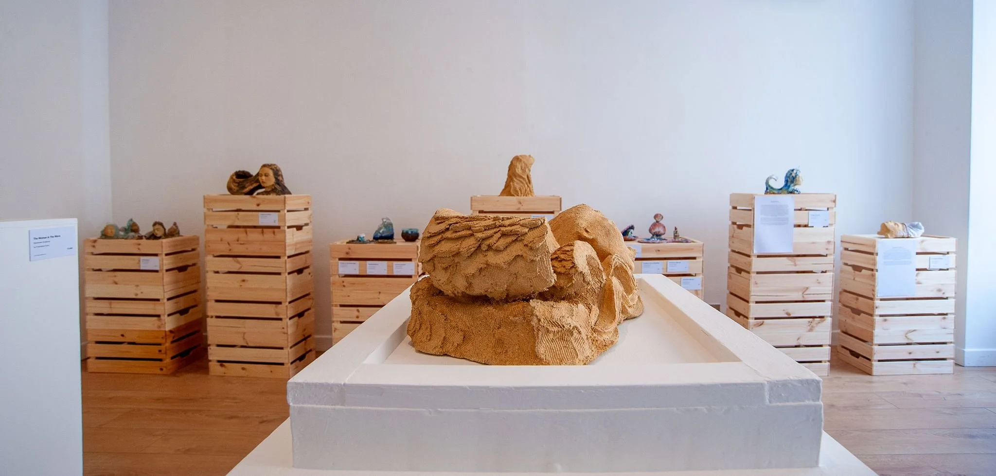 Francesca Flynn _An Ocean of Dreams_ at Saltspace-23.jpg