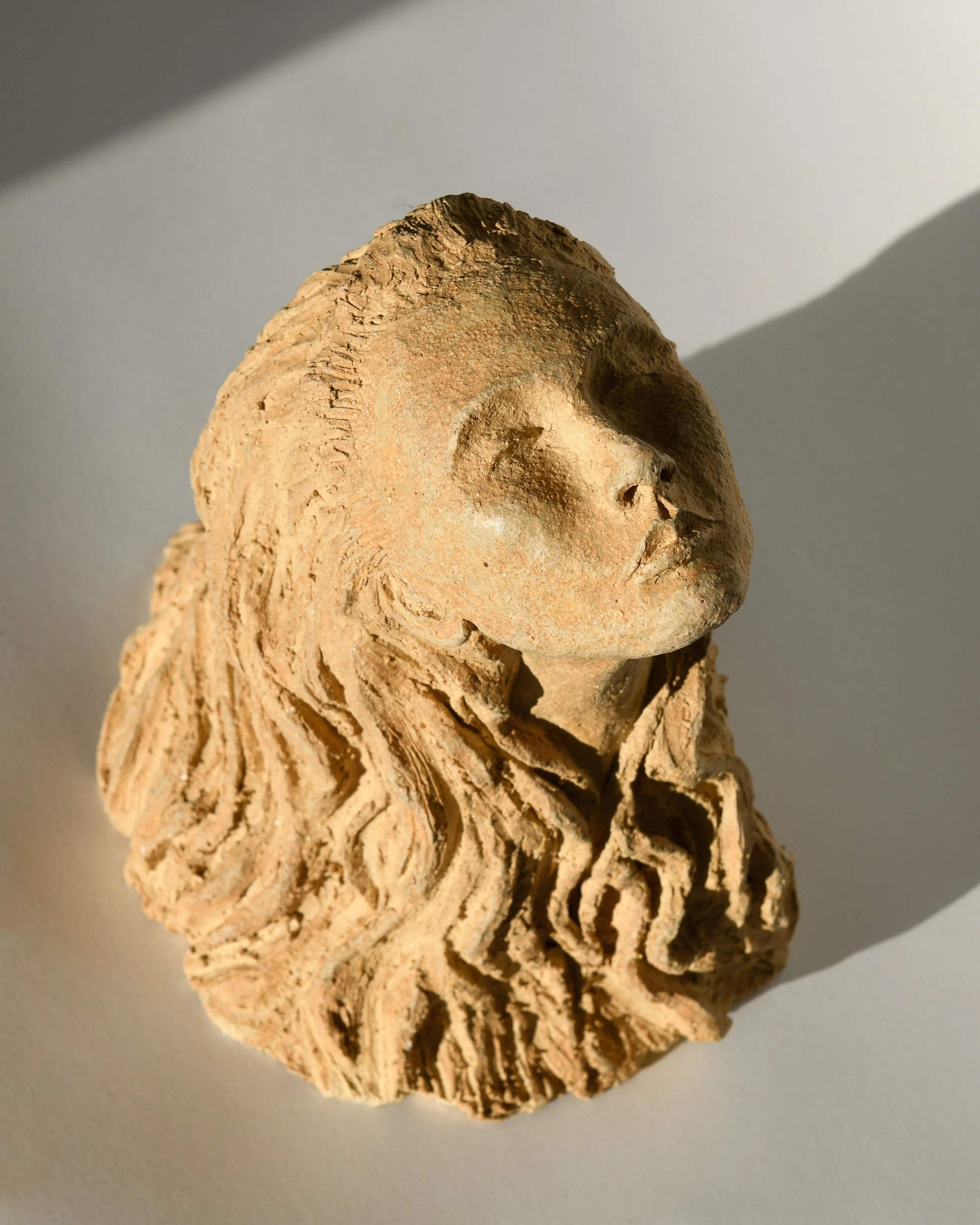 Rising Against the Tide by Francesca Flynn 2.jpg