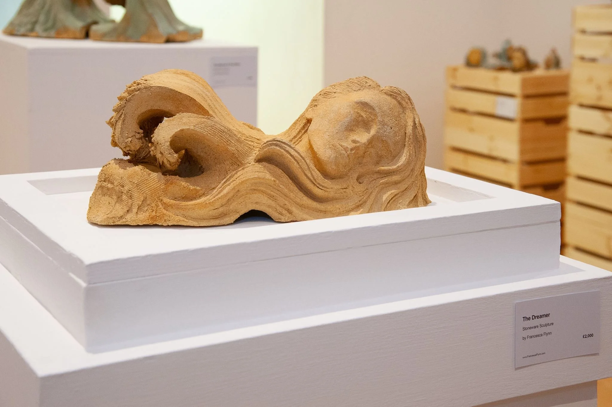 Francesca Flynn _An Ocean of Dreams_ at Saltspace-7.jpg