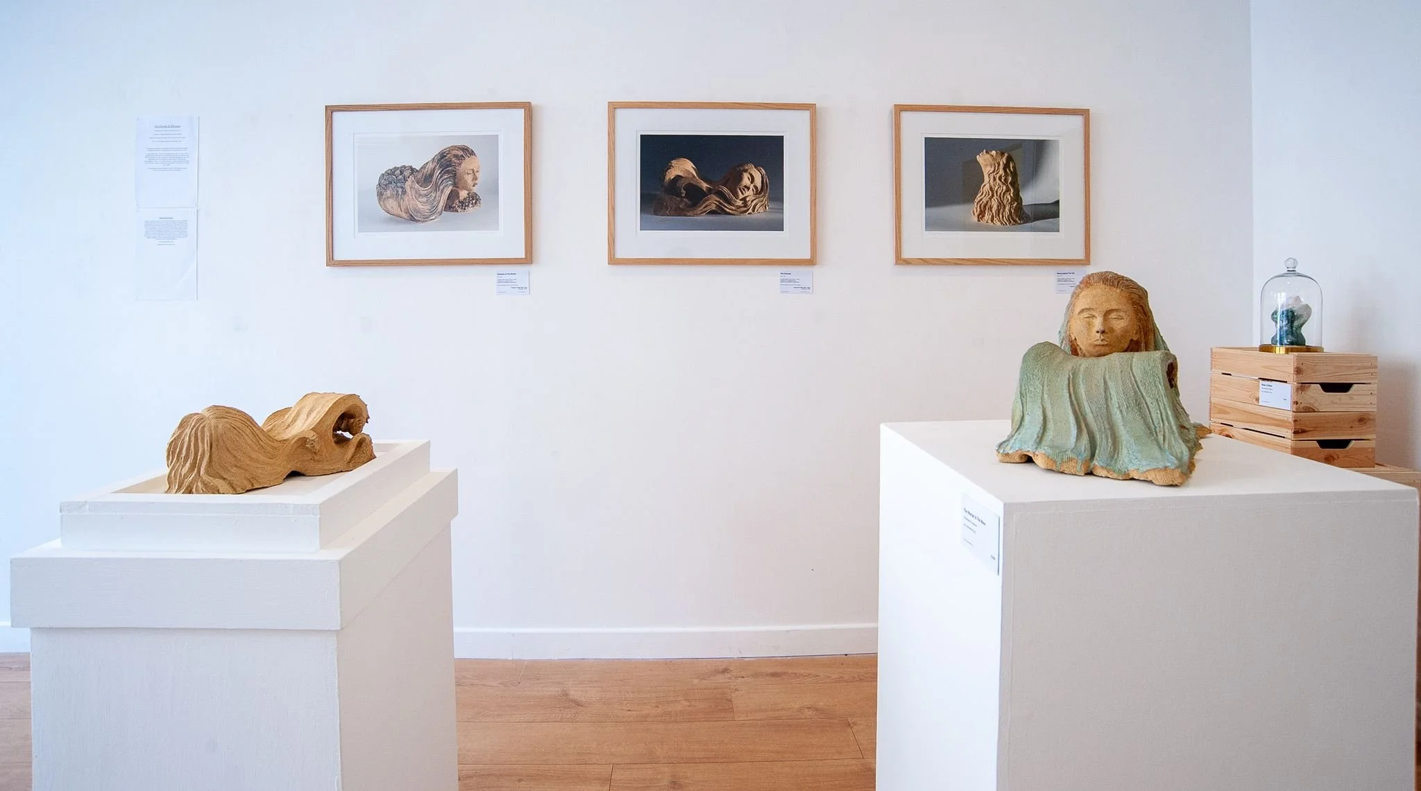 Francesca Flynn _An Ocean of Dreams_ at Saltspace-25.jpg