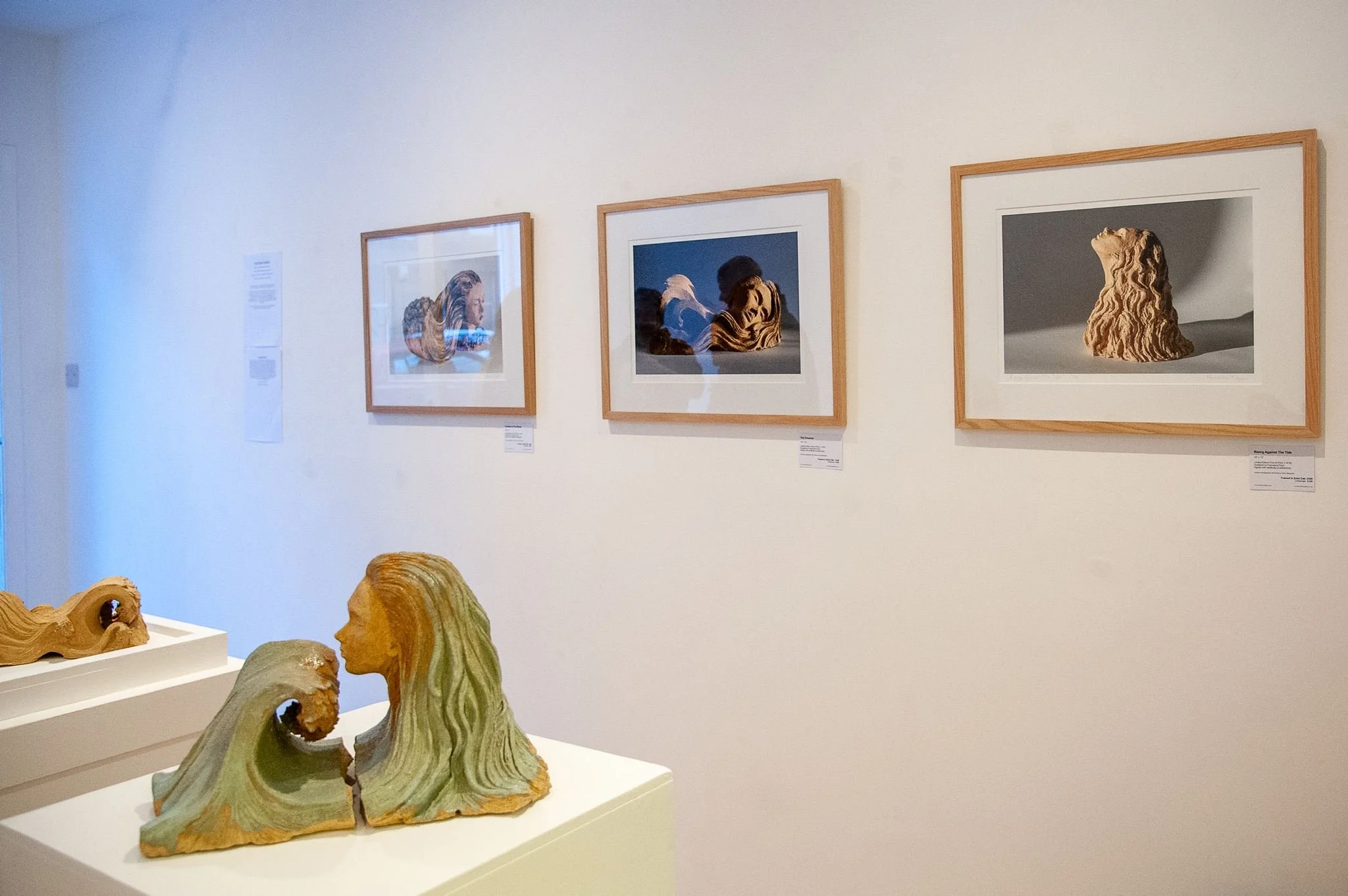 Francesca Flynn _An Ocean of Dreams_ at Saltspace-21.jpg