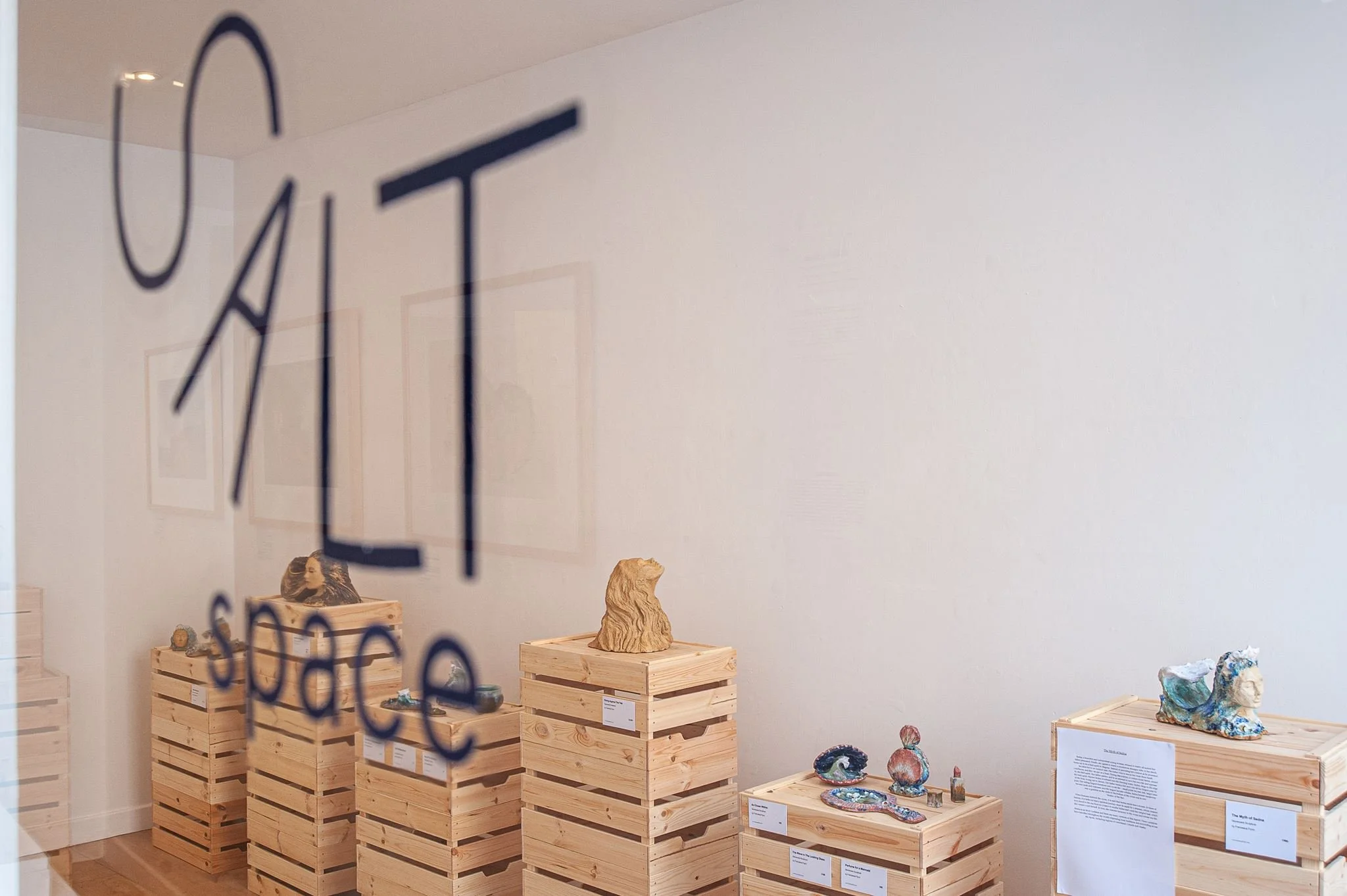 Francesca Flynn _An Ocean of Dreams_ at Saltspace-15.jpg