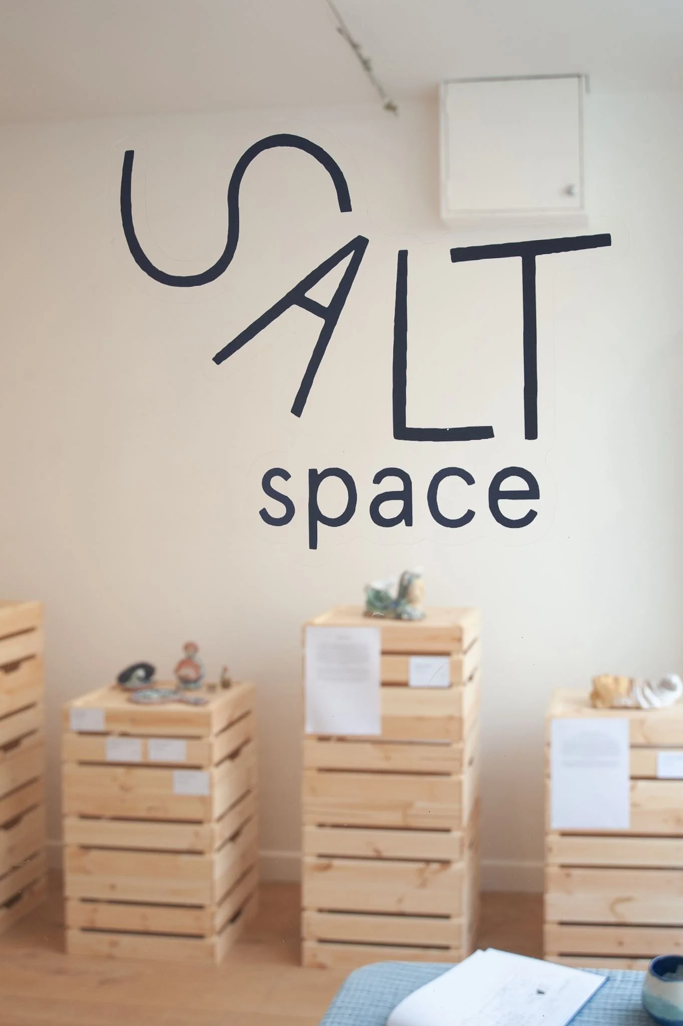 Francesca Flynn _An Ocean of Dreams_ at Saltspace-14.jpg