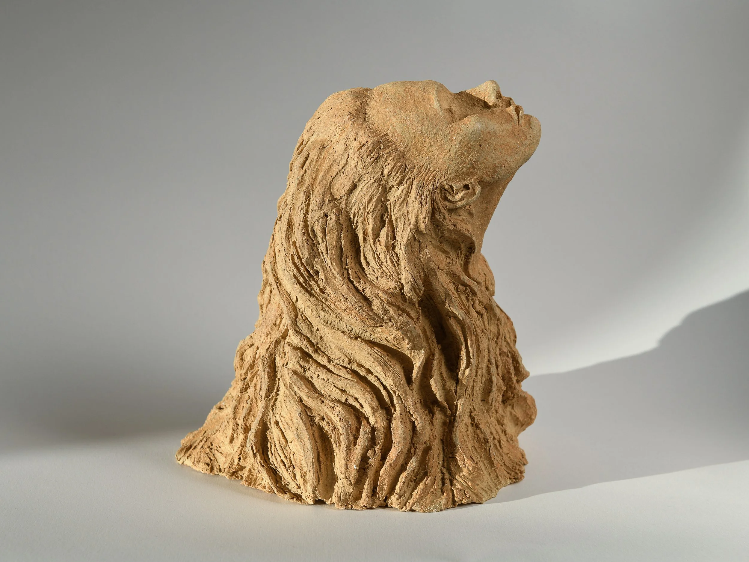 Rising Against the Tide by Francesca Flynn 3.jpg