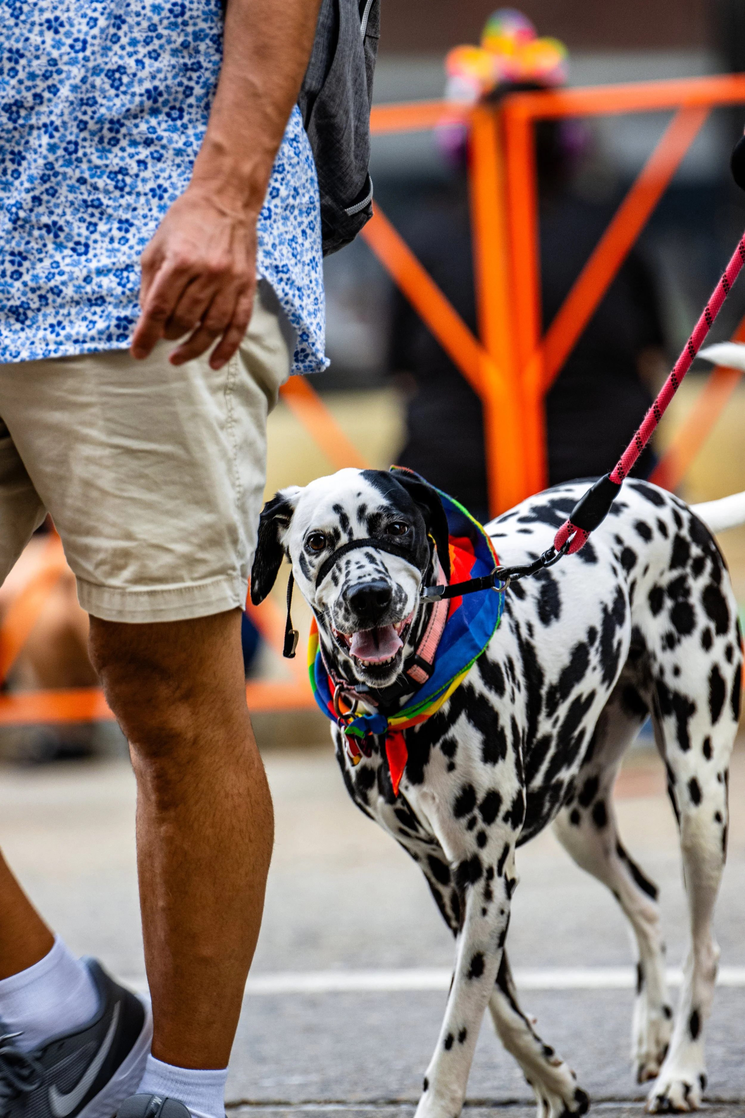 Providence Pride 2025 Web Size-5364.jpg