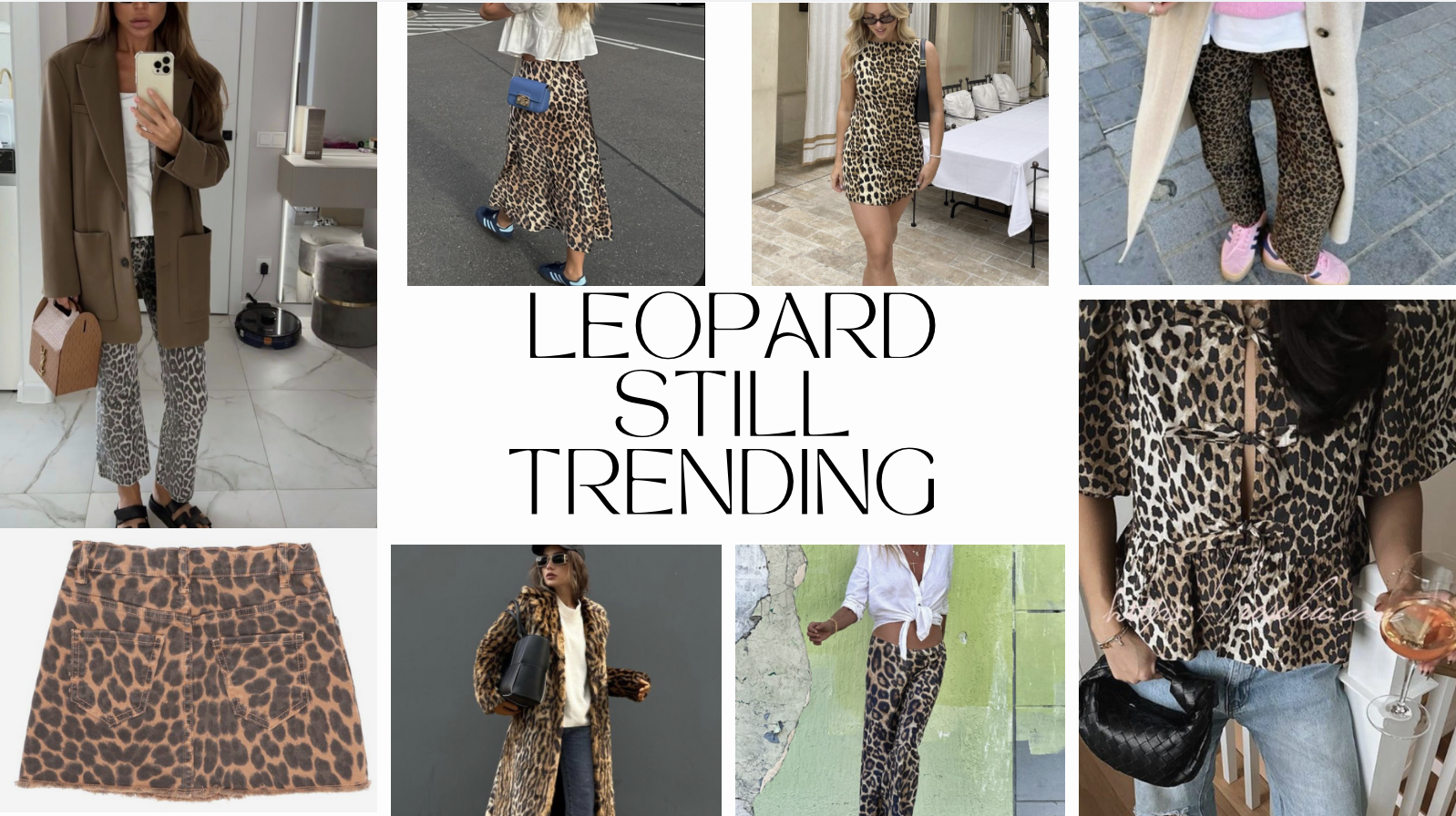 Screenshot 2024-10-07 at 10.44.38 PM.png