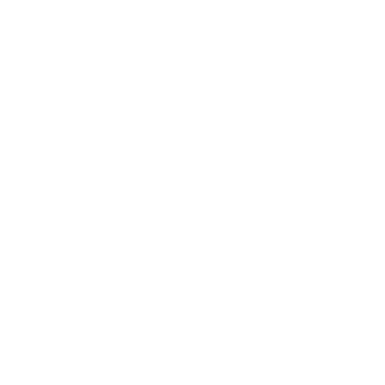Rogues Gallery Racing