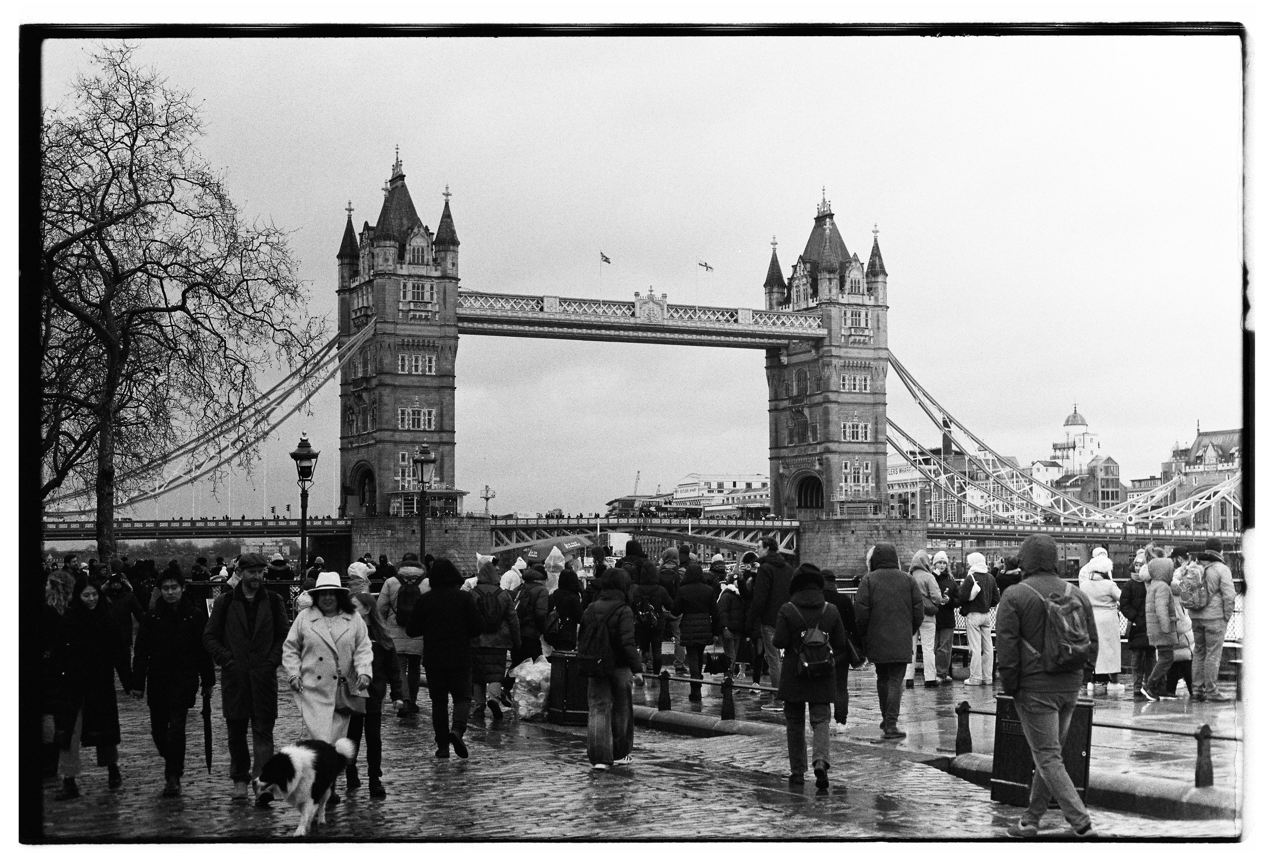 BS_9879_TMax 400_130755-R1-E019.jpg