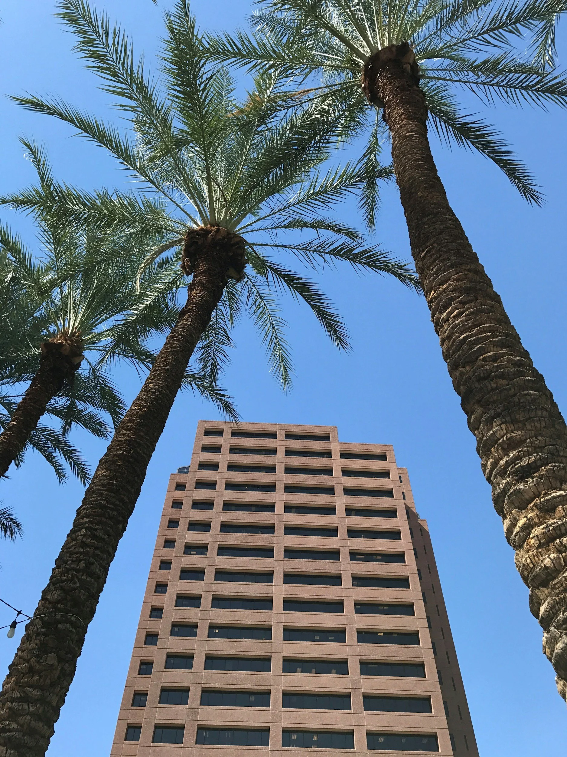 Day Trips From Phoenix You Can’t Miss