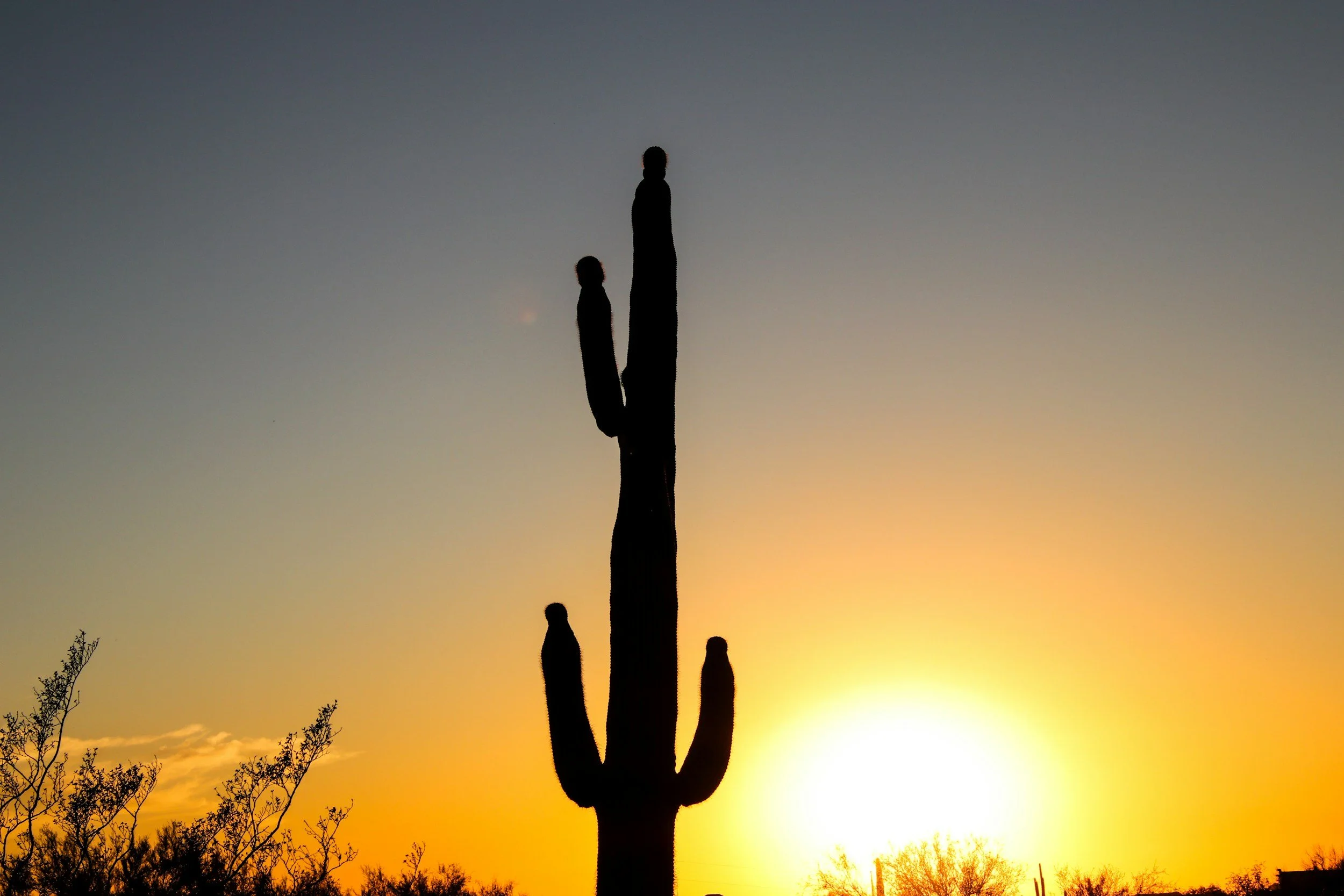The Best Outdoor Activities in Phoenix