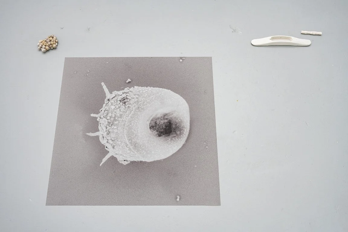 DIANE MORIN. Sans titre, de la série Les sols. impression jet d'encre sur Mylar.  Sans titre. alliage d'étain et de bismuth. Sans titre. porcelaine.